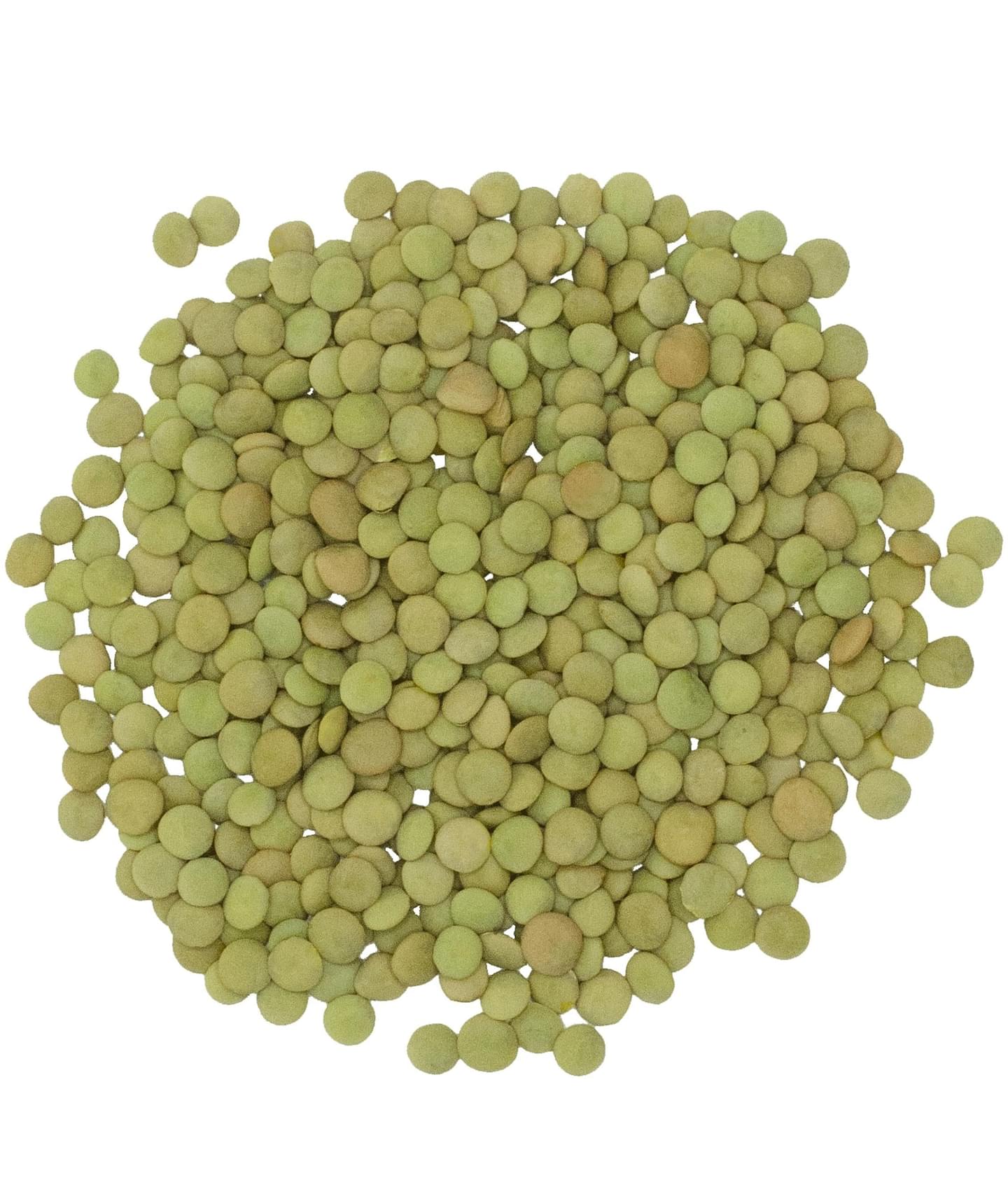 Green Lentils | 4 LB