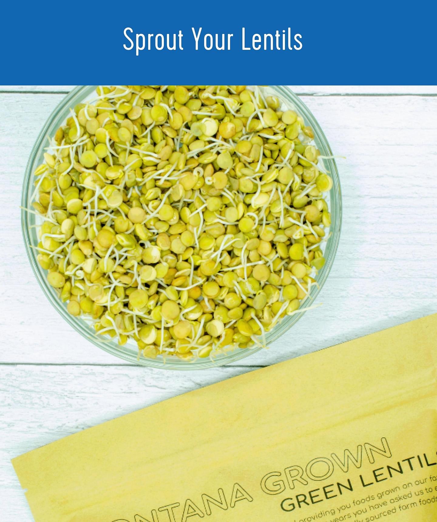 Green Lentils | 4 LB