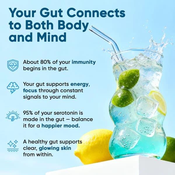 Gut Electrolyte Drink Mix - Variety - Hydration Powder with 7 Electrolytes, Vitamins, Probiotics & Herbal Blend for Immune Support, Energy & Daily Recovery