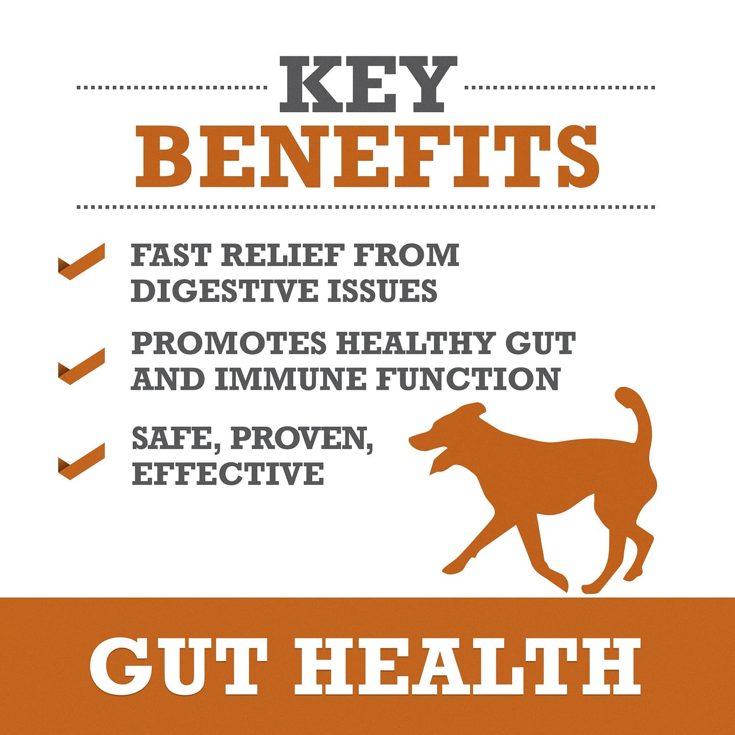Gut Health 6-Pack