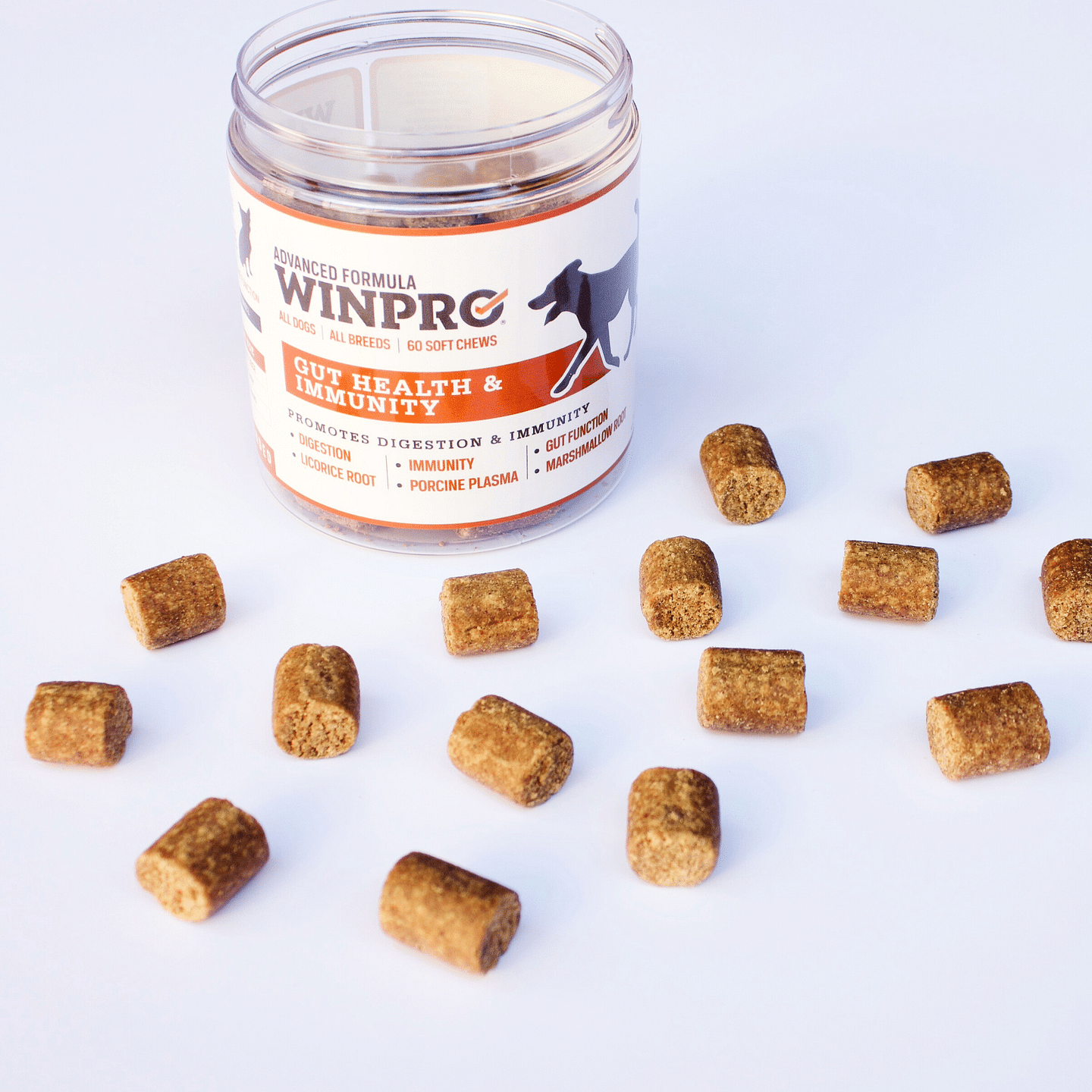 Gut Health 6-Pack