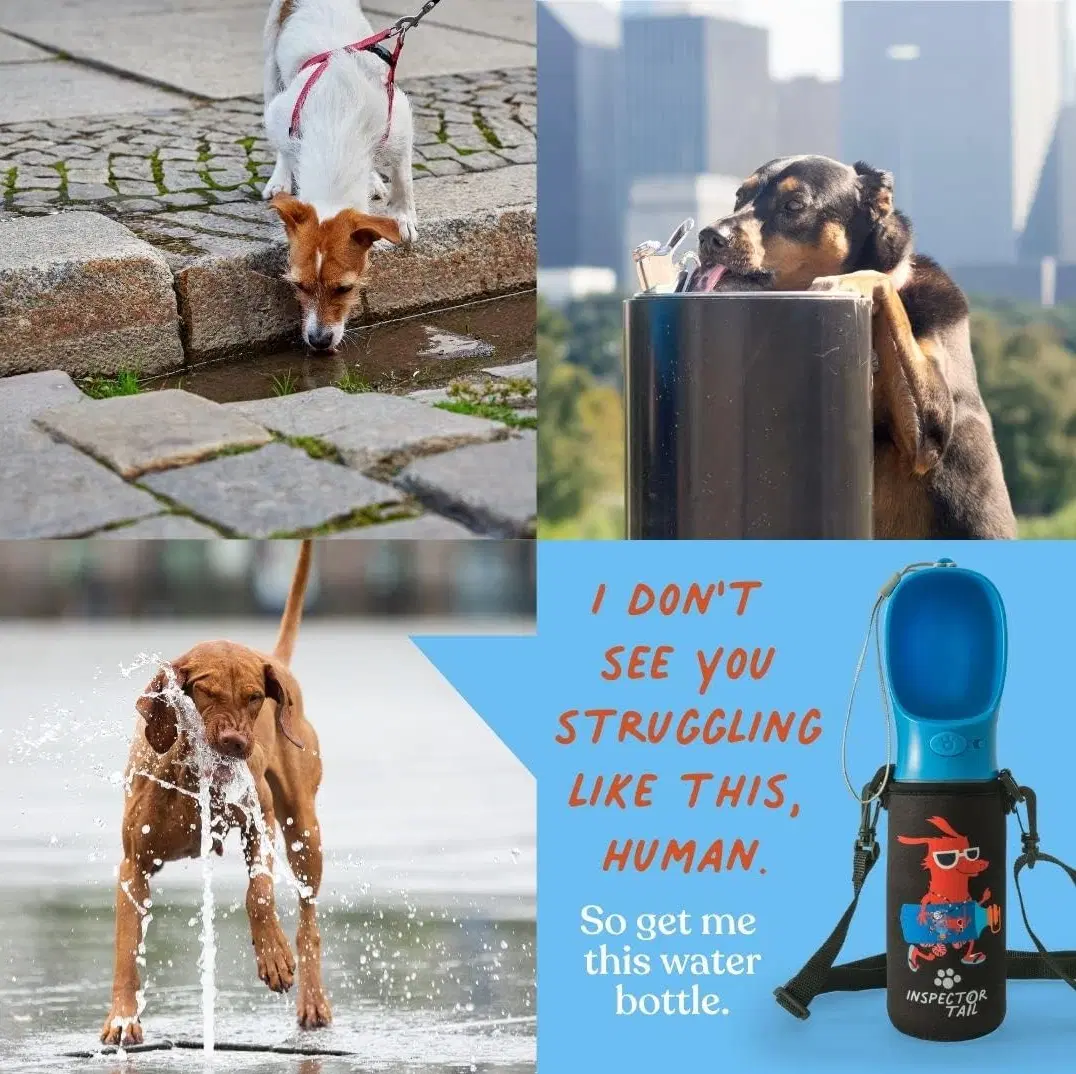 12 Oz Dog Water Bottle with Cool Free Neoprene Holder | Leak-Proof & Lightweight Cup for Outdoor- Travel, Hiking or Walking