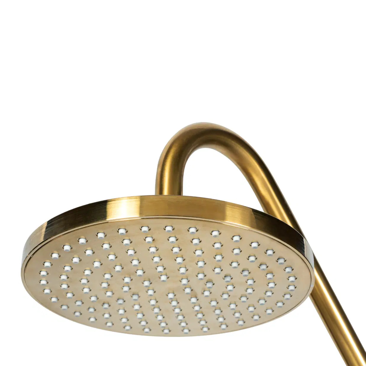 Kauai III 8-in Rain Showerhead Shower System with Slide Bar and Integrated Soap Dish Brushed Gold gold