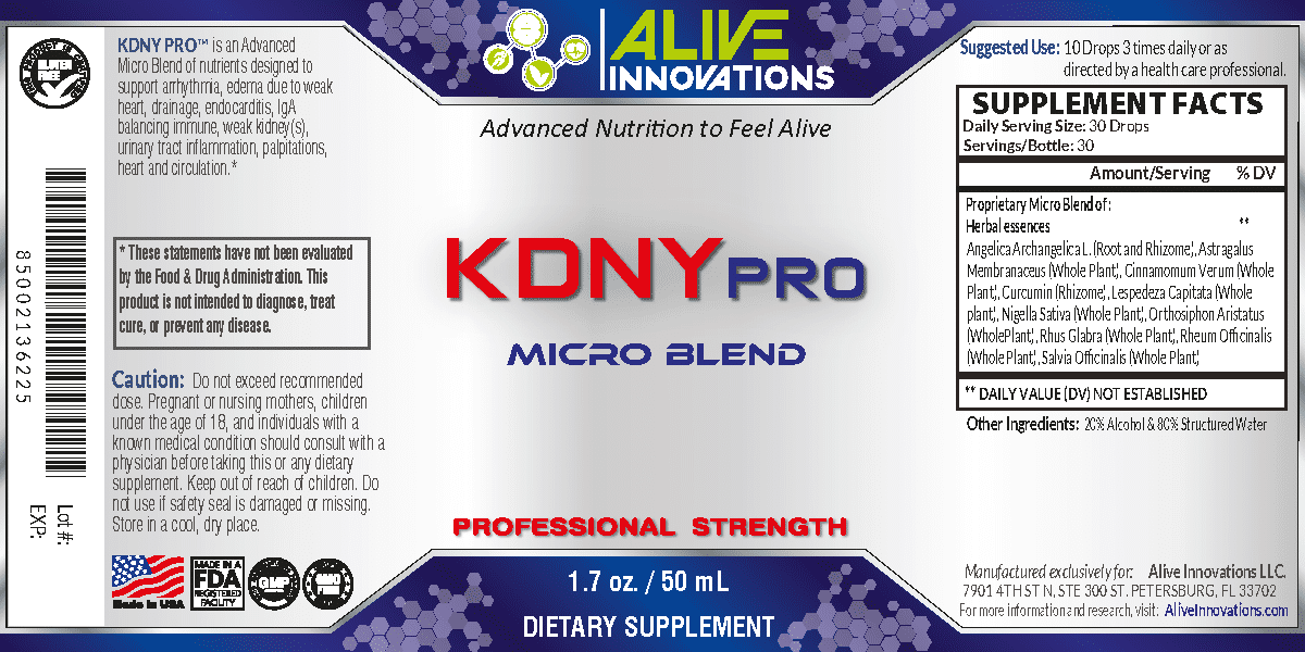 KDNY PRO image