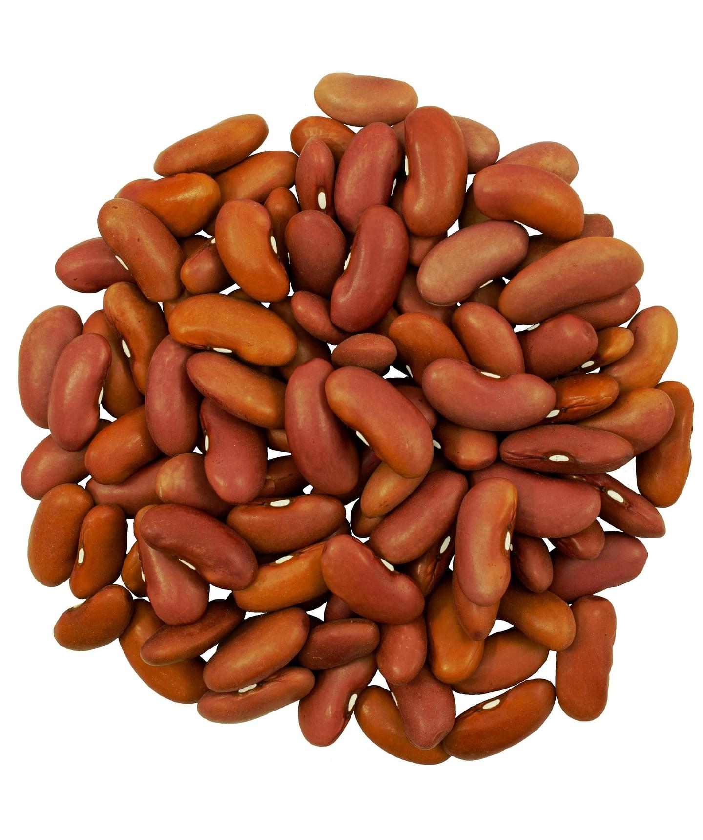 Kidney Beans | 4 LB