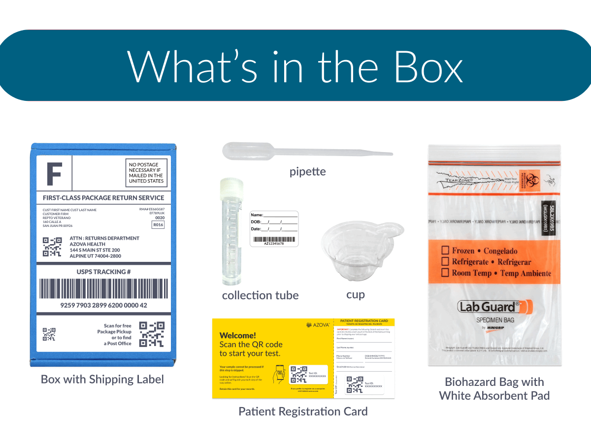 Kidney Health Urine Test - At-Home Urinalysis Kit with Albumin, Creatinine & ACR Biomarkers for Early Kidney Function Monitoring and Preventive Health Screening