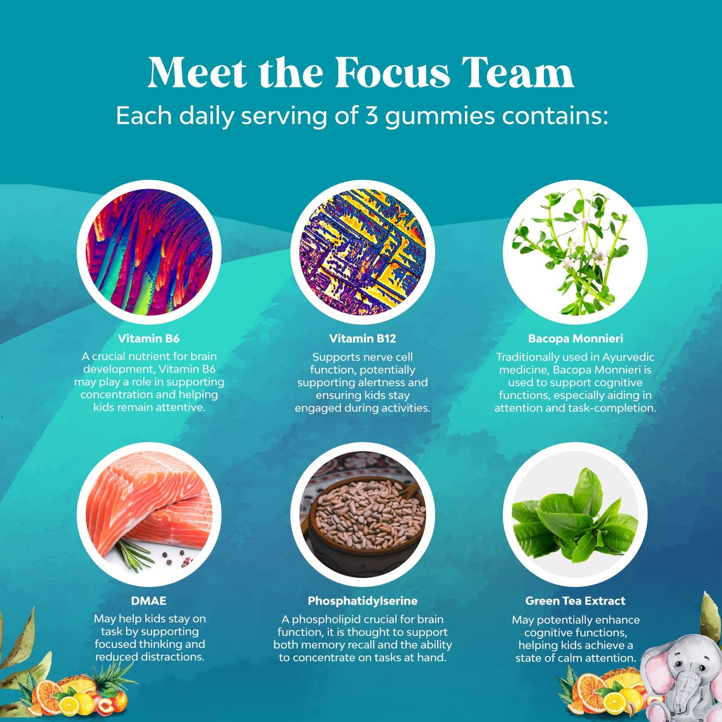 Kids Focus Gummies