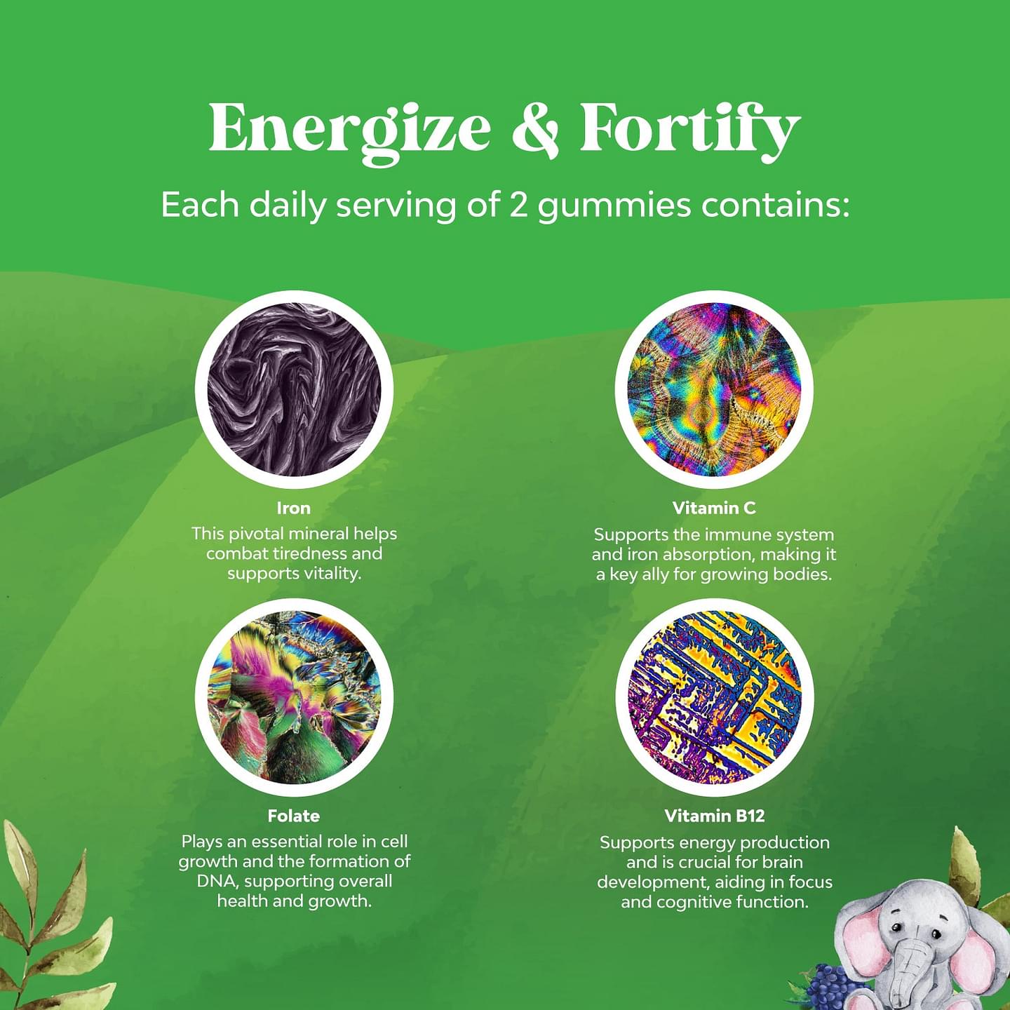 Kids Iron Gummies