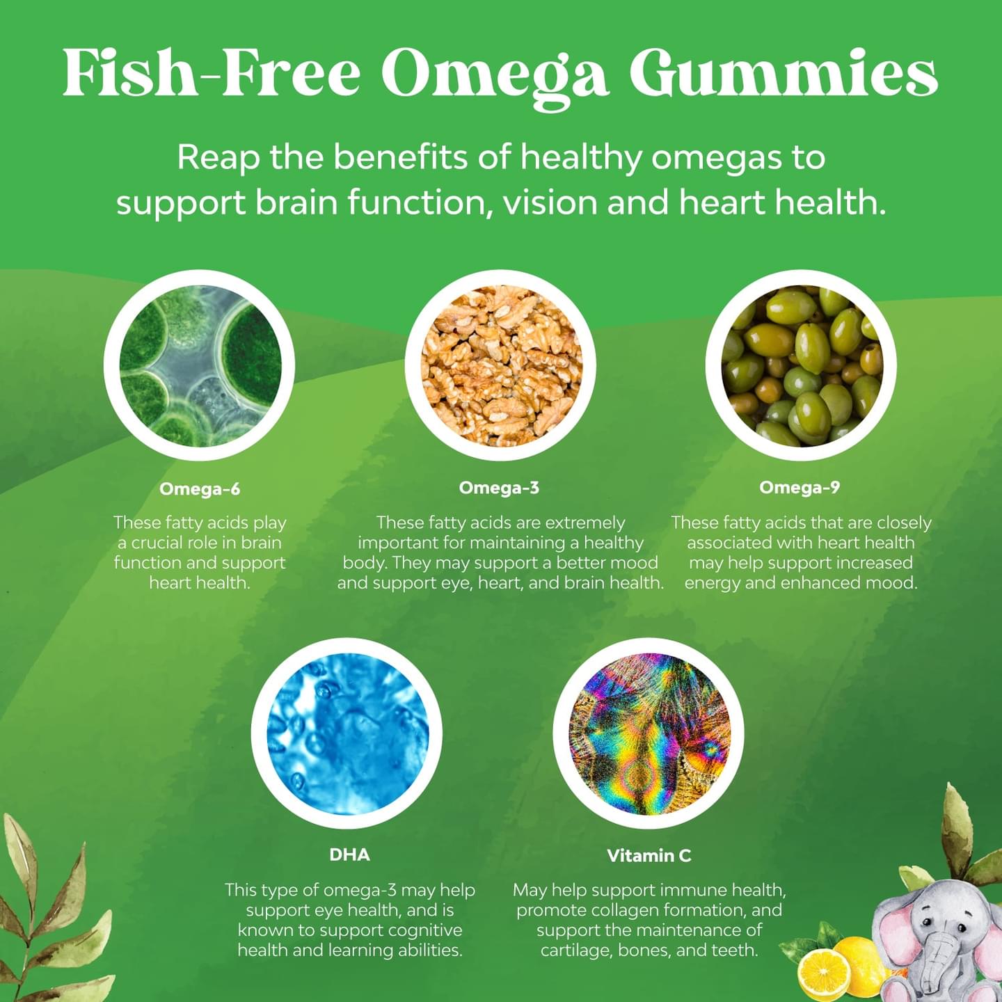 Kids Omega + DHA Gummies