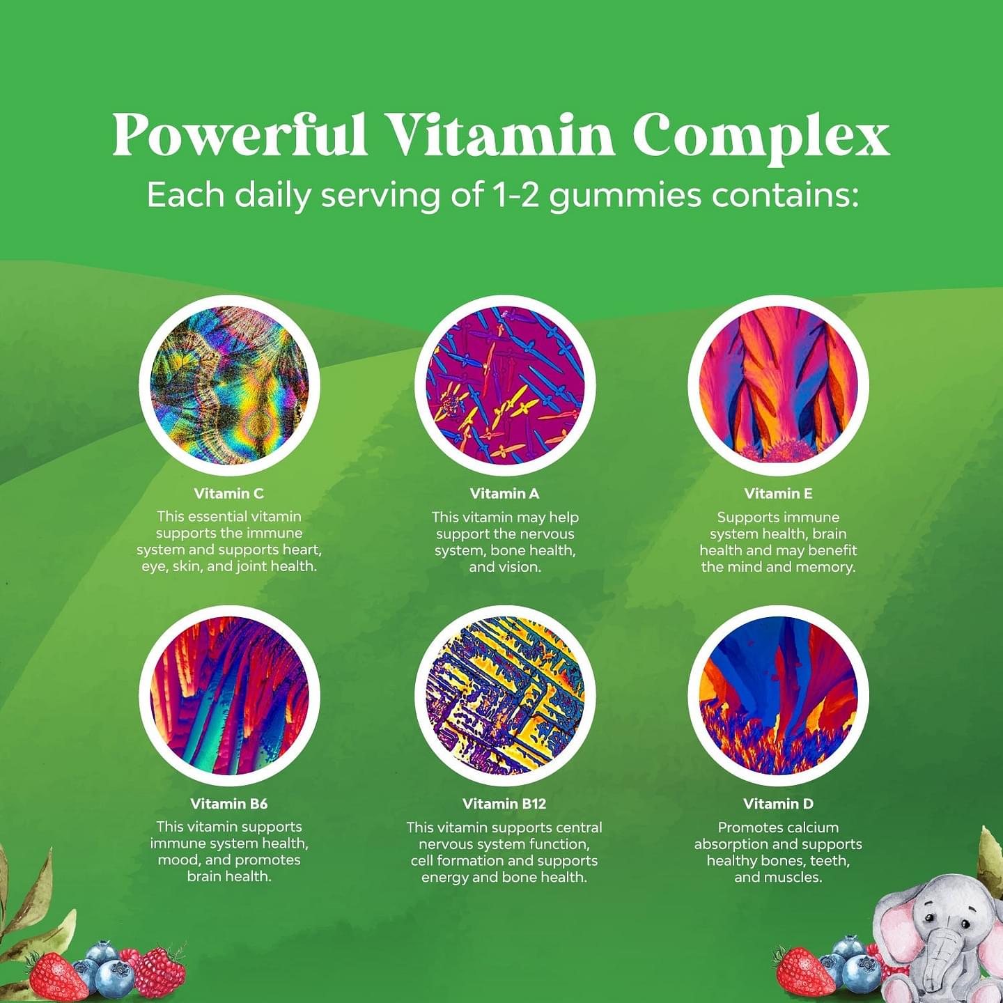 Kids Organic Multivitamin Gummies