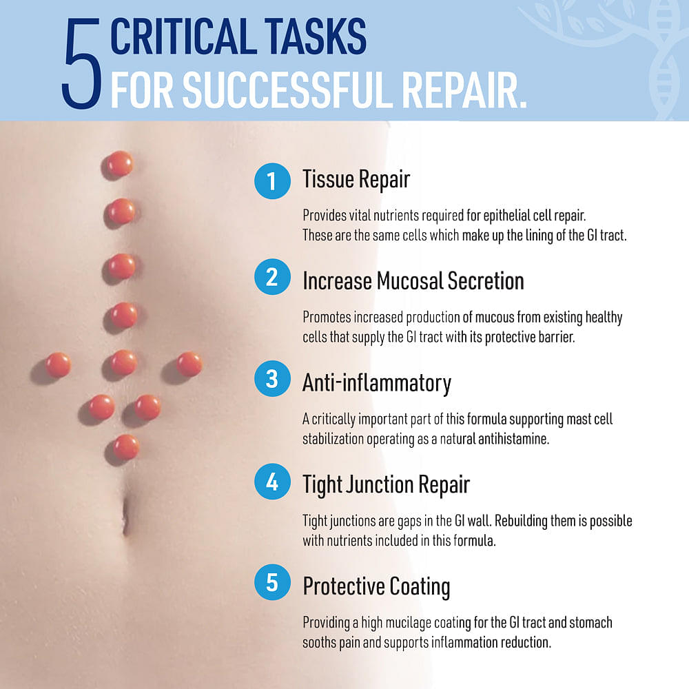 Leaky Gut Repair