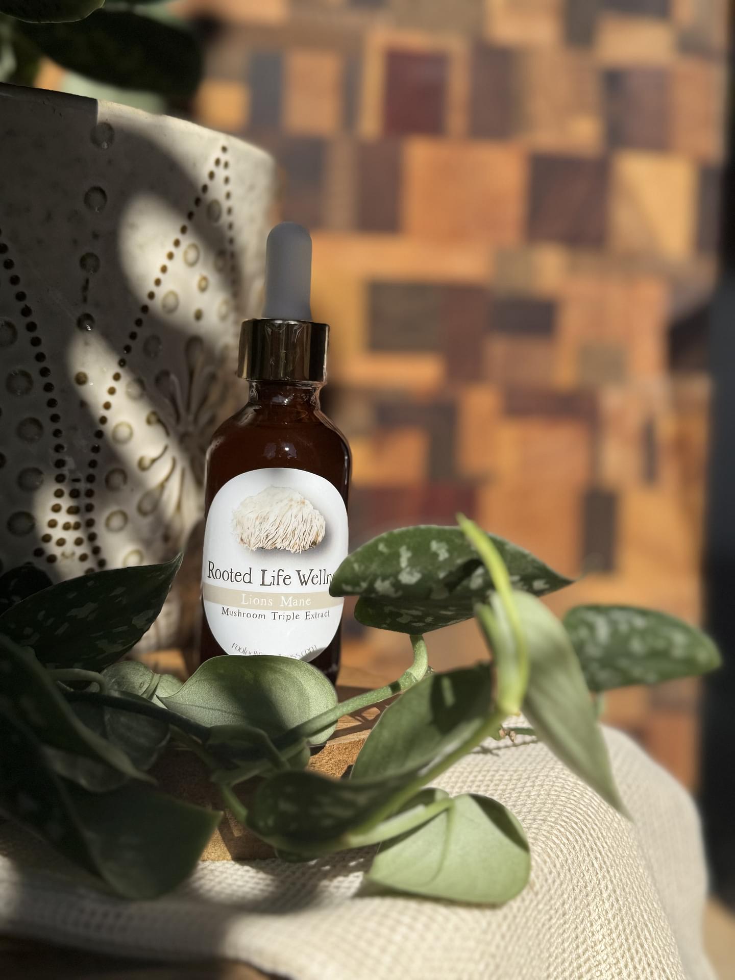 Lion's Mane Mushroom Triple Extract Tincture
