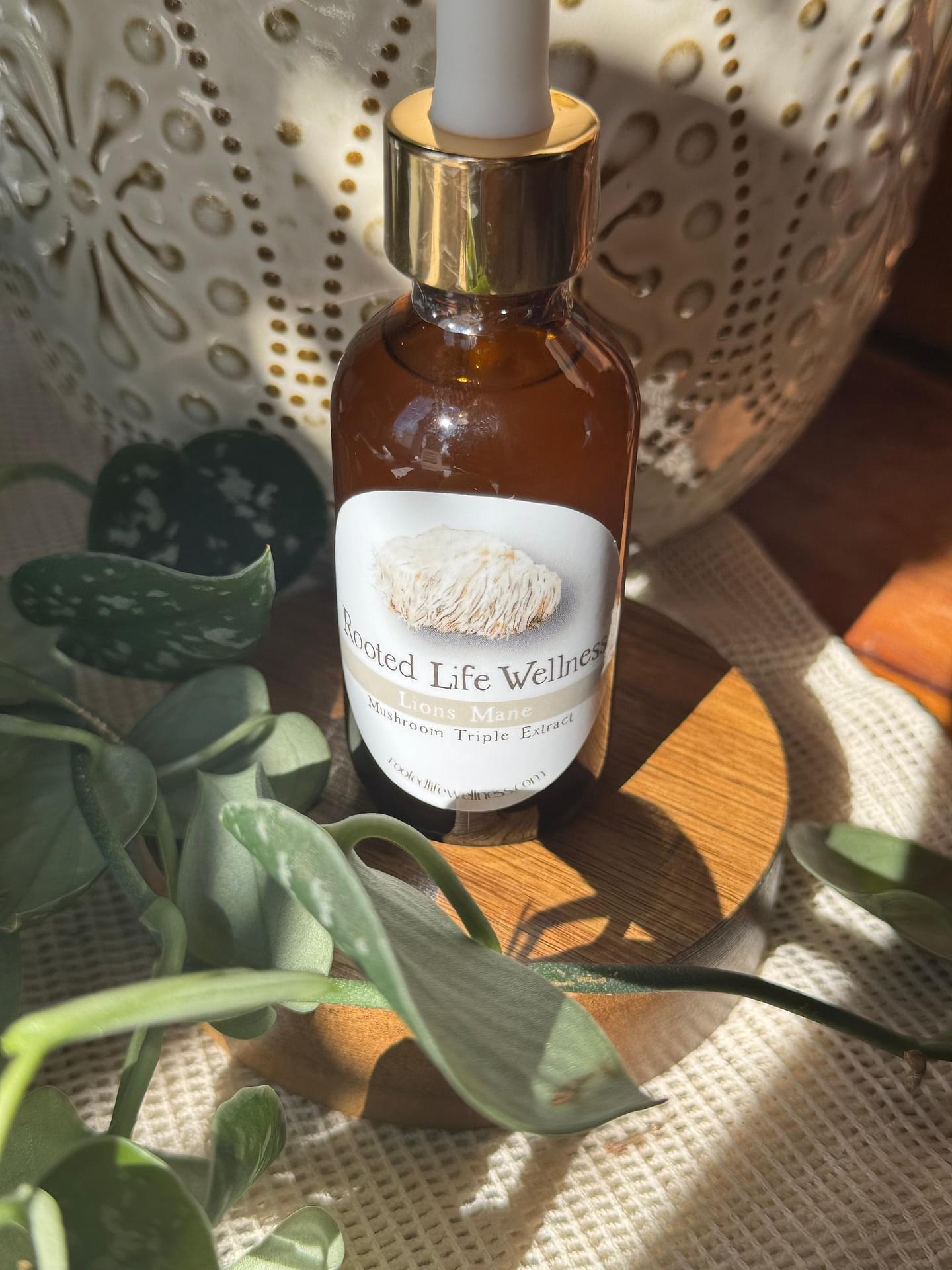 Lion's Mane Mushroom Triple Extract Tincture