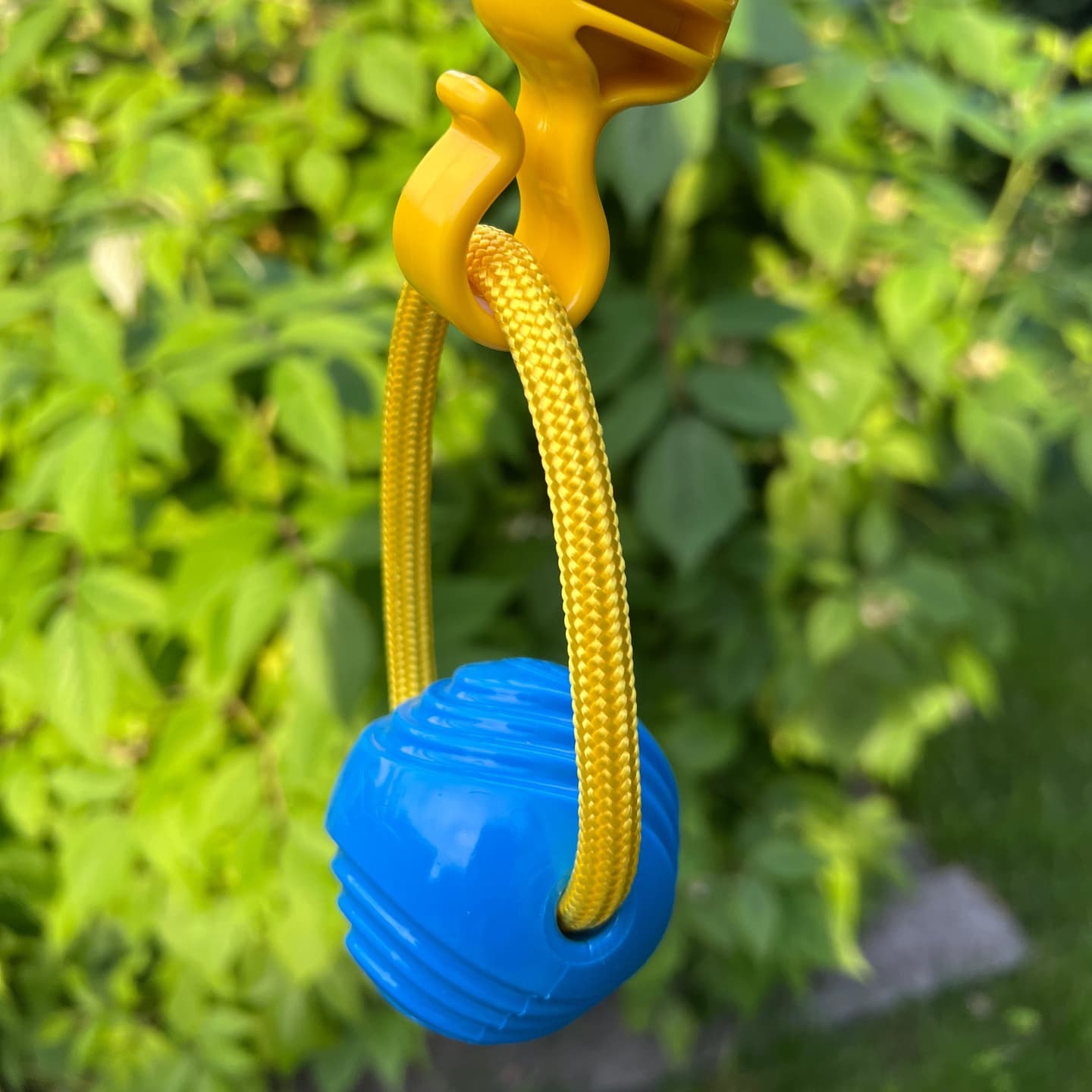 product-image-3