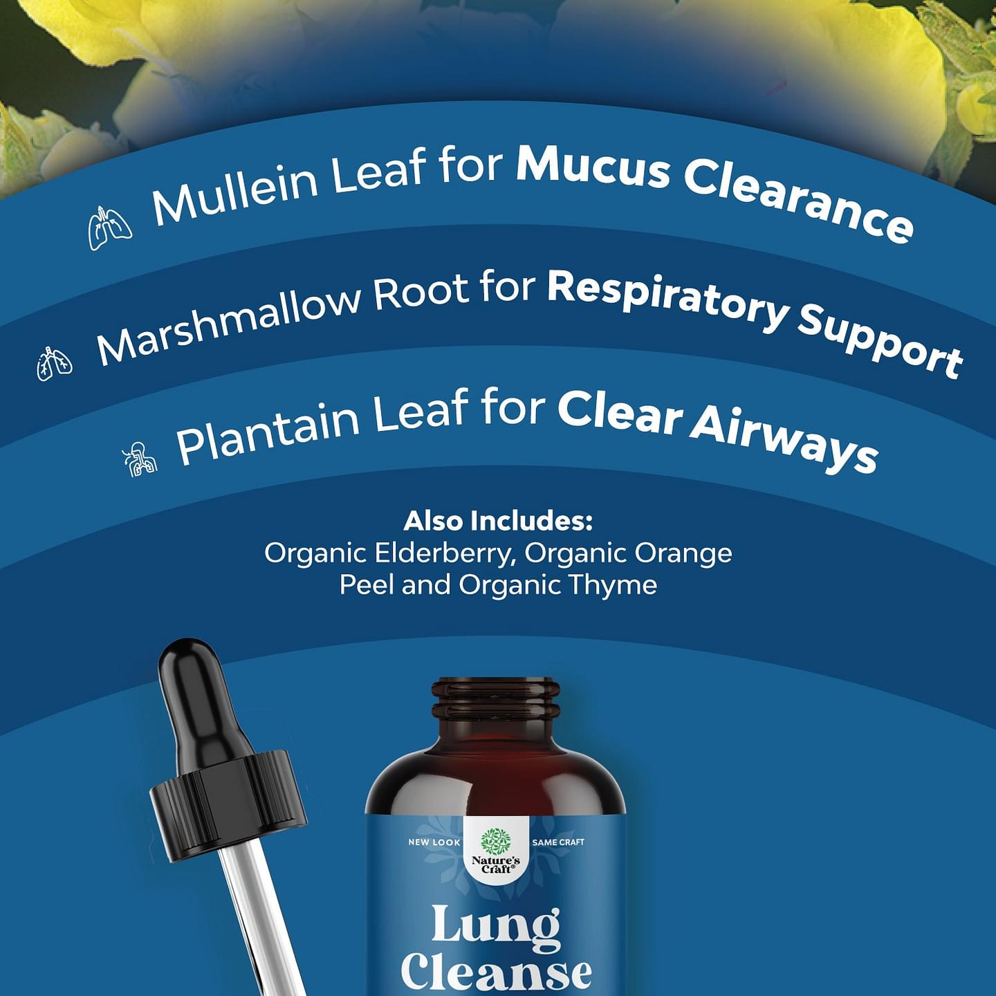 Lung Cleanse