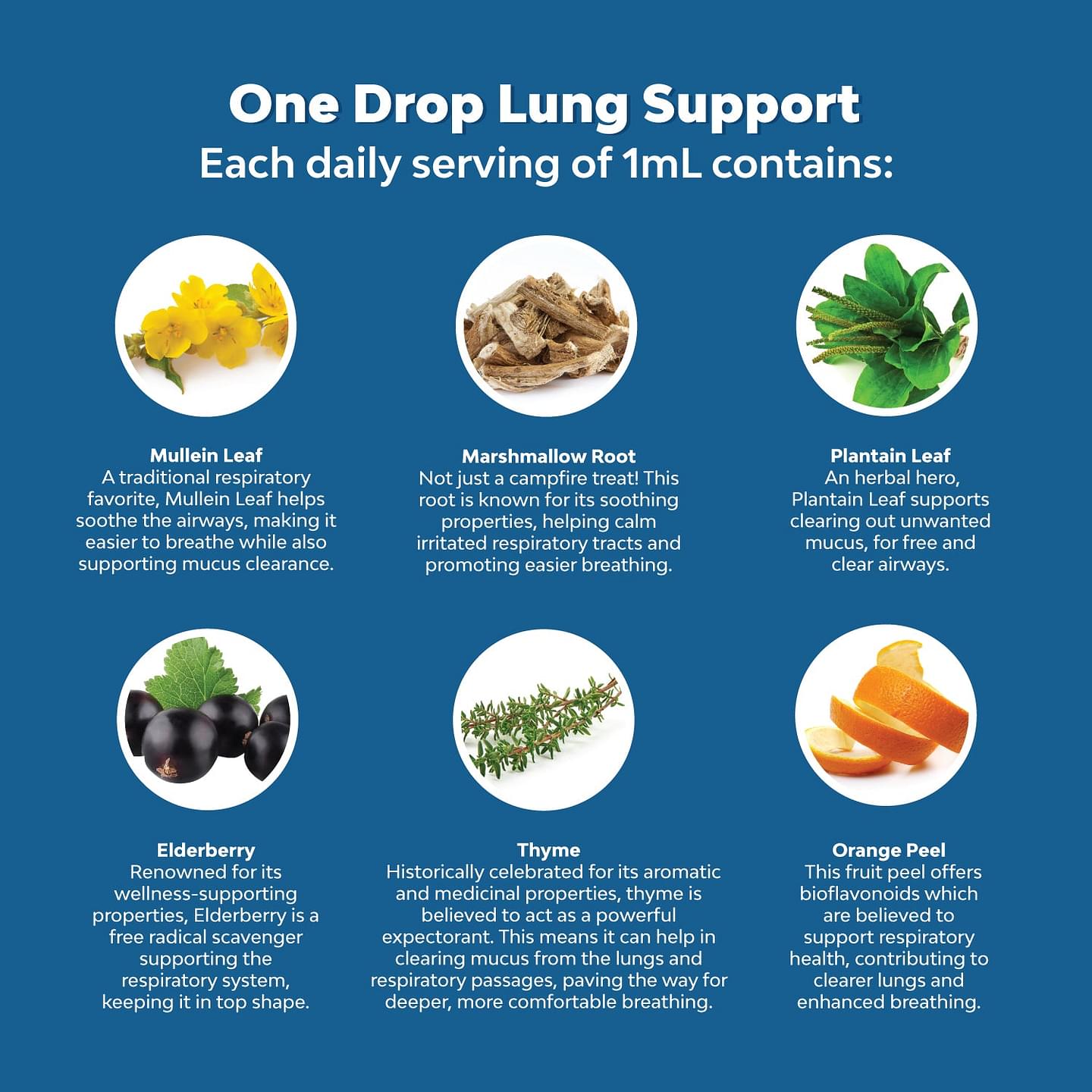 Lung Cleanse