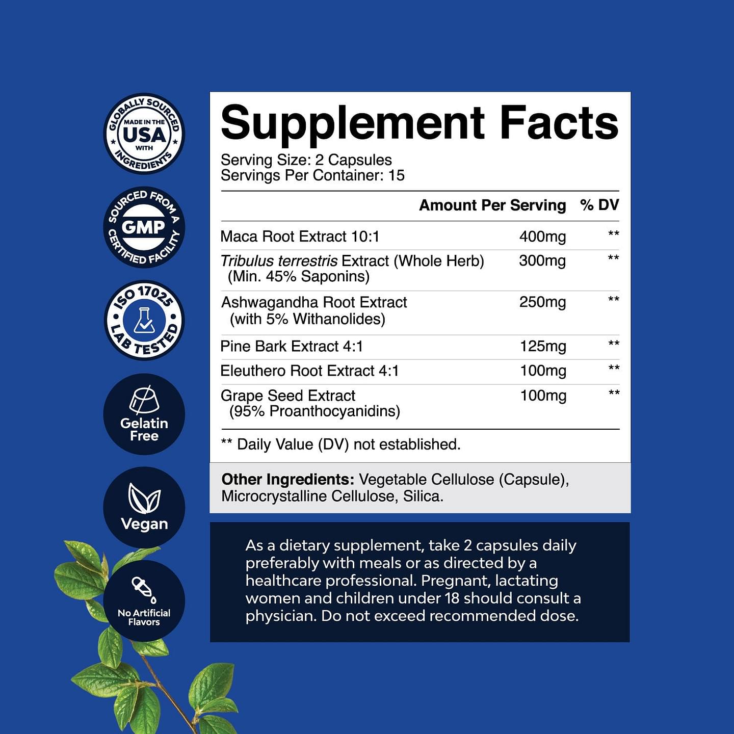 MACA Root Complex
