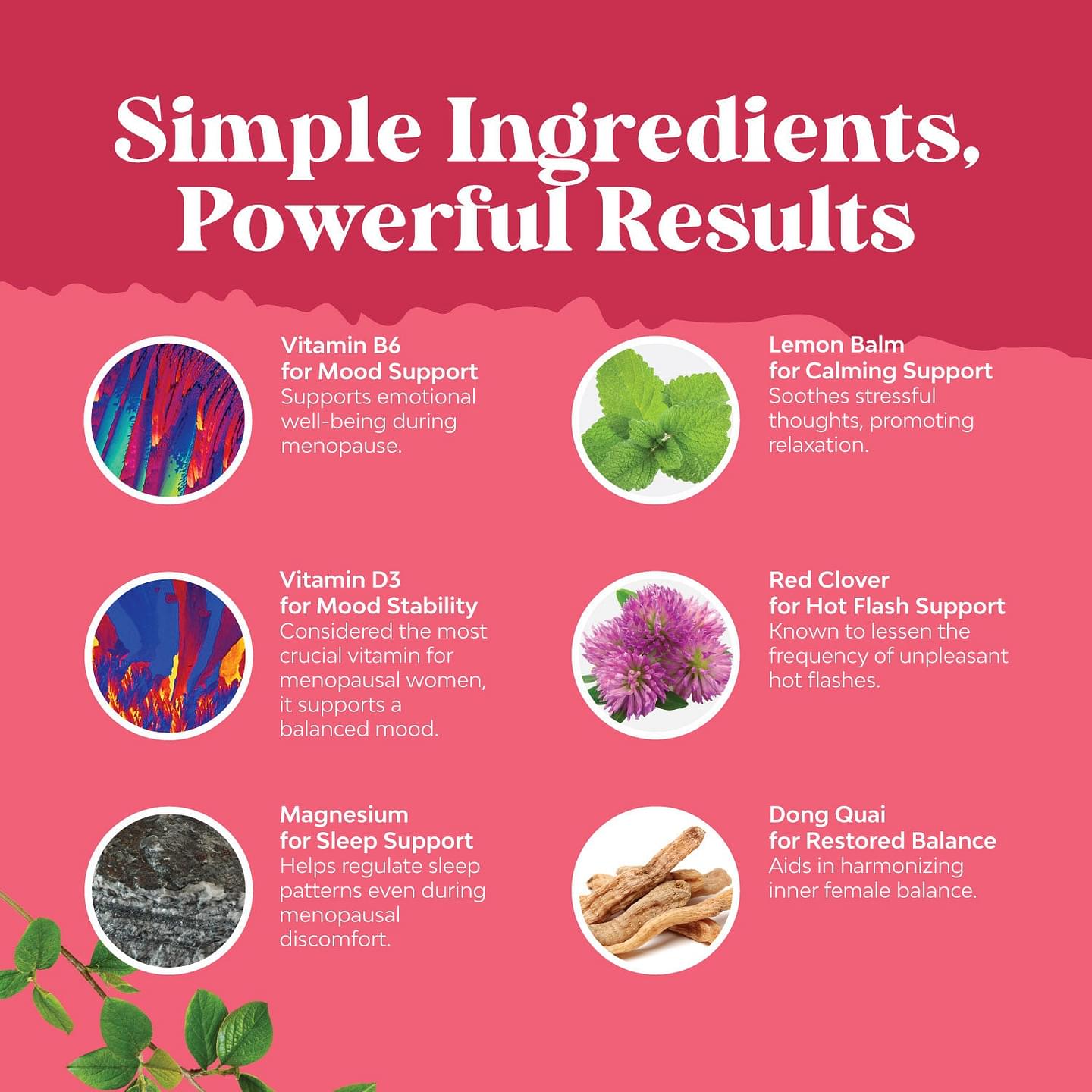 Menopause Support