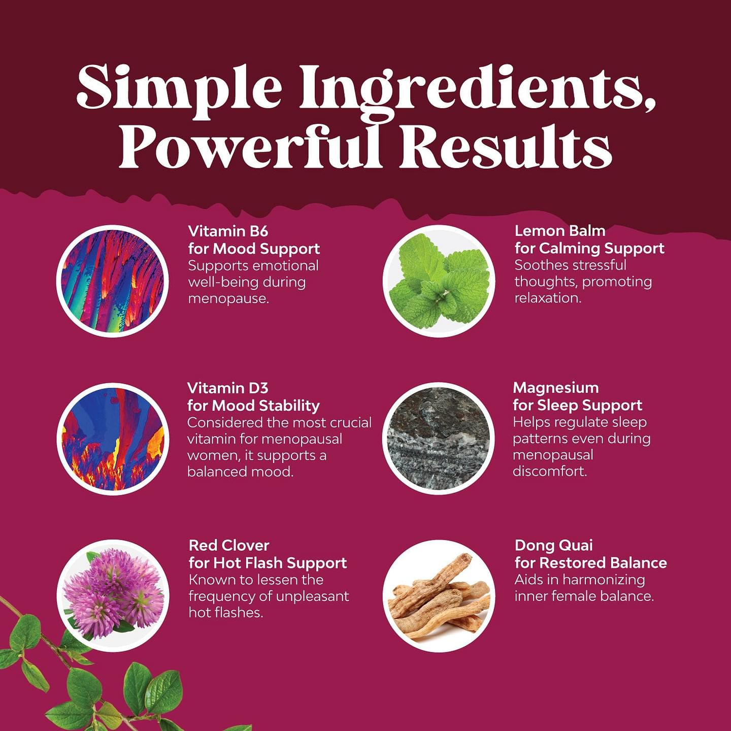 Menopause Support - Soy Free