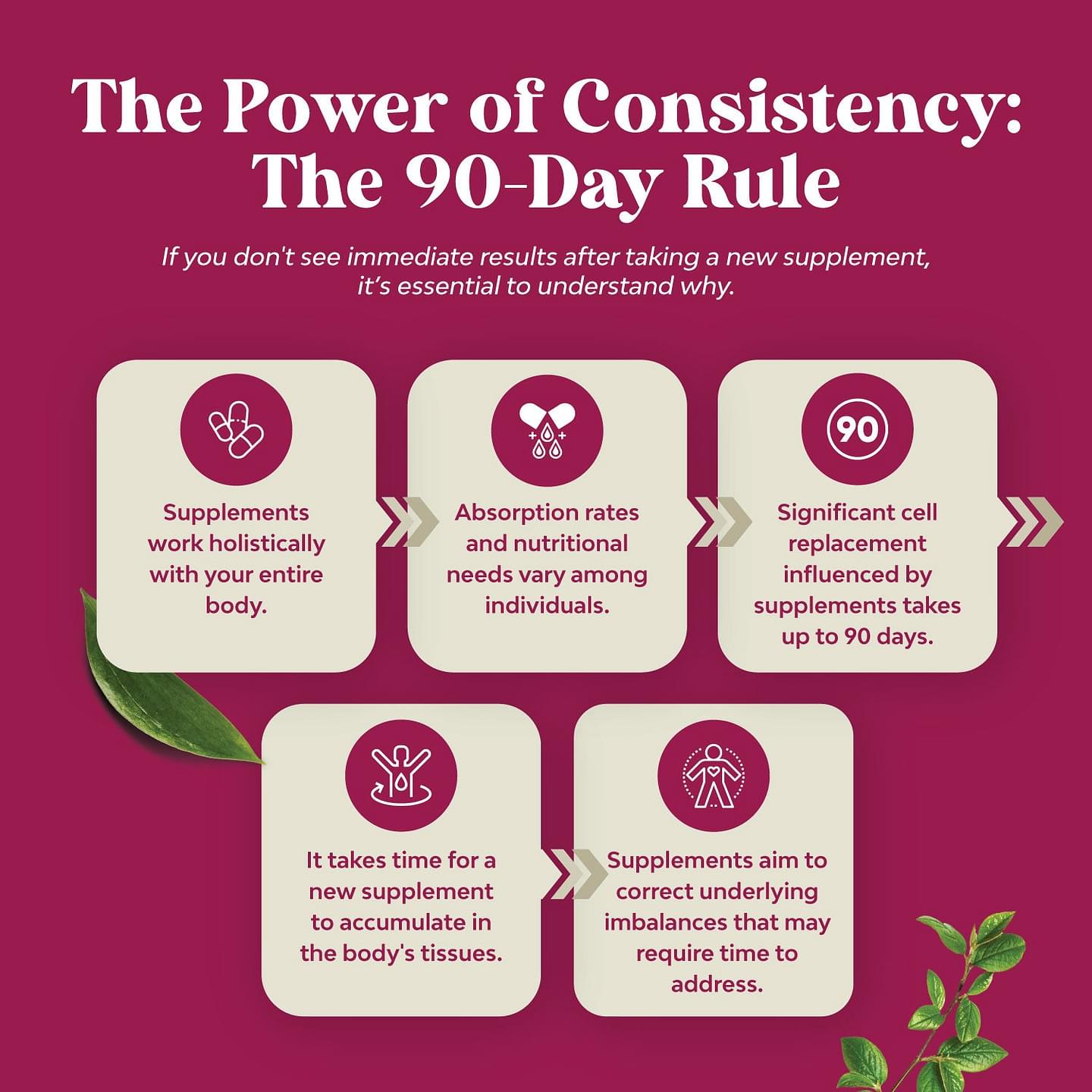 Menopause Support - Soy Free