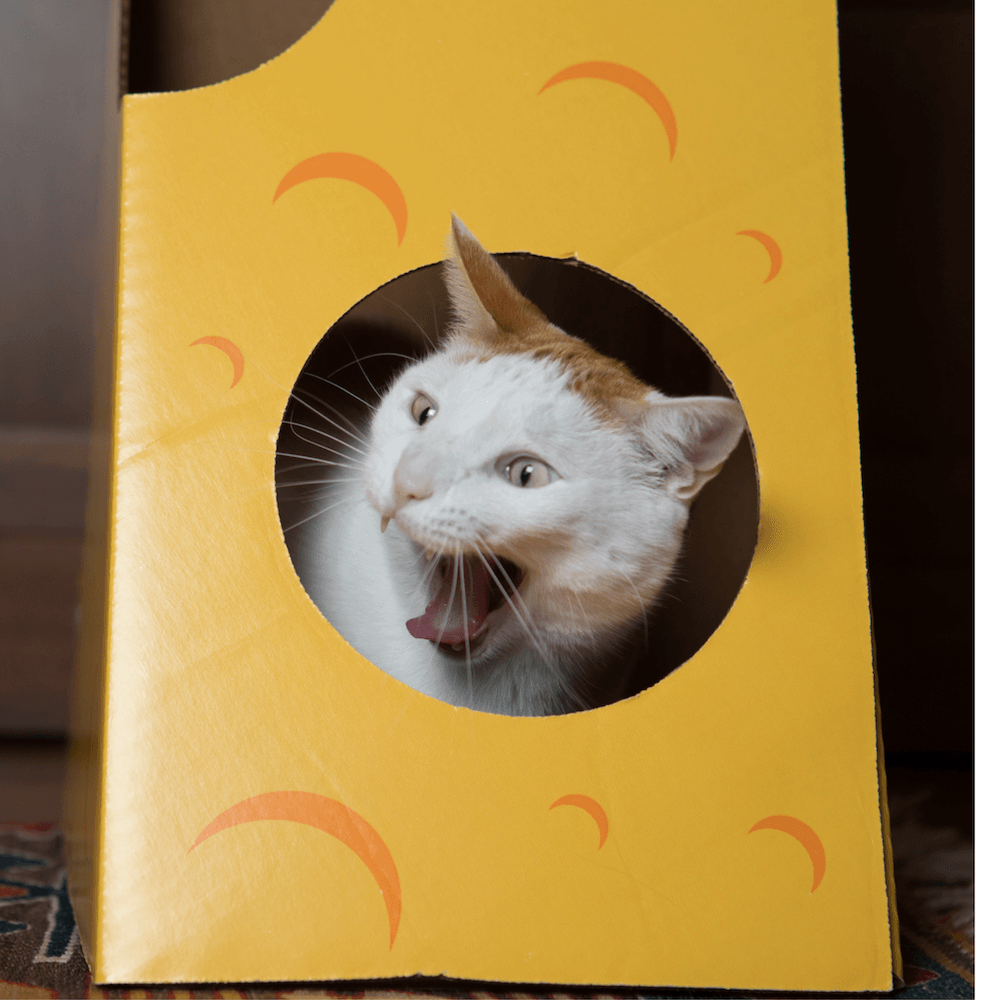 product-image-3