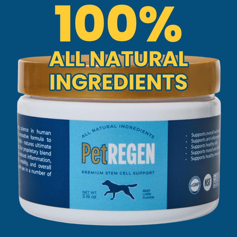 product-image-4