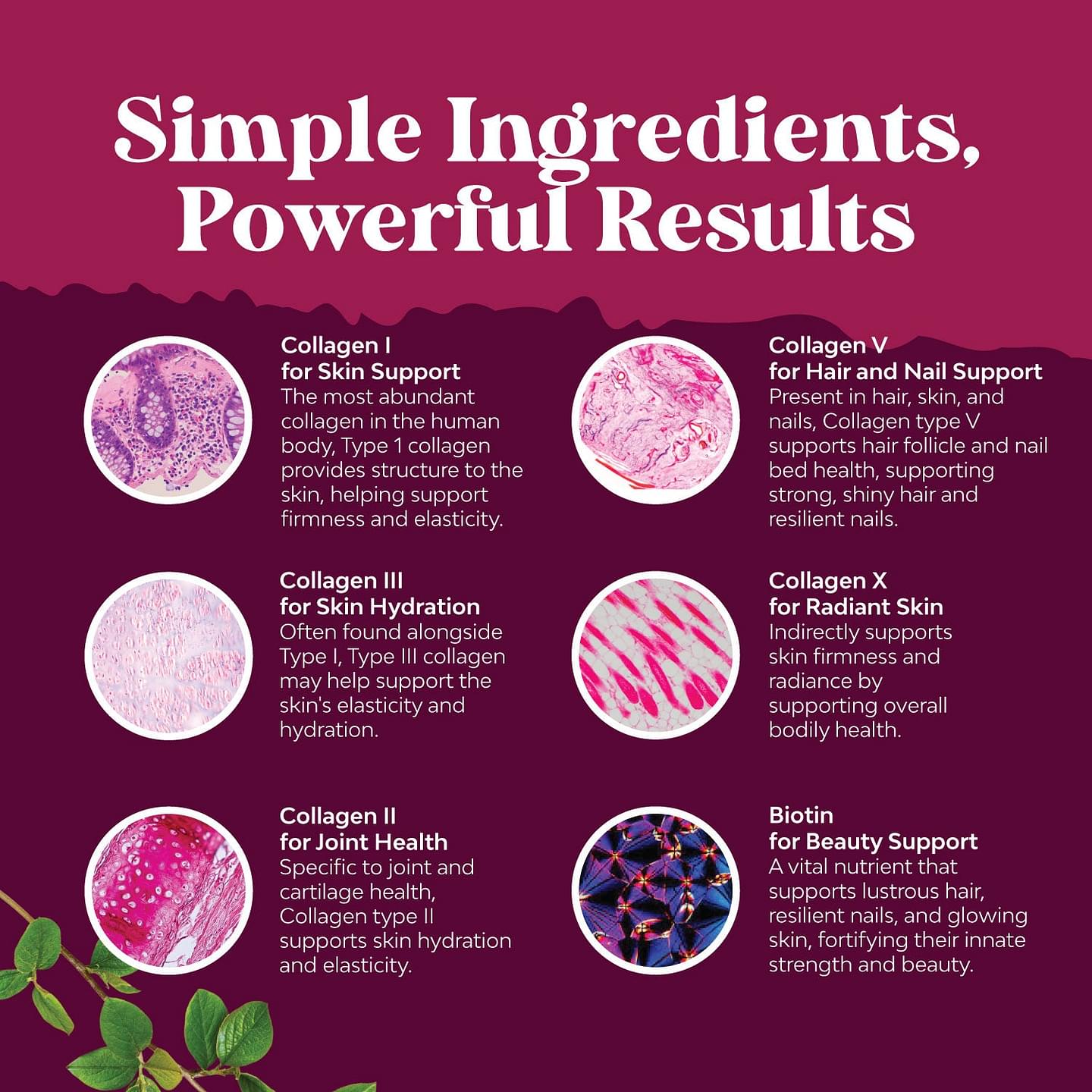 Multi Collagen Complex