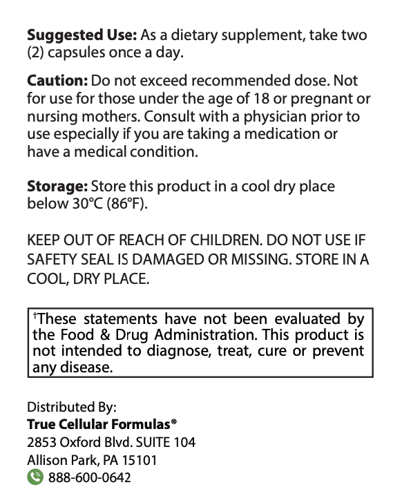 product-image-2