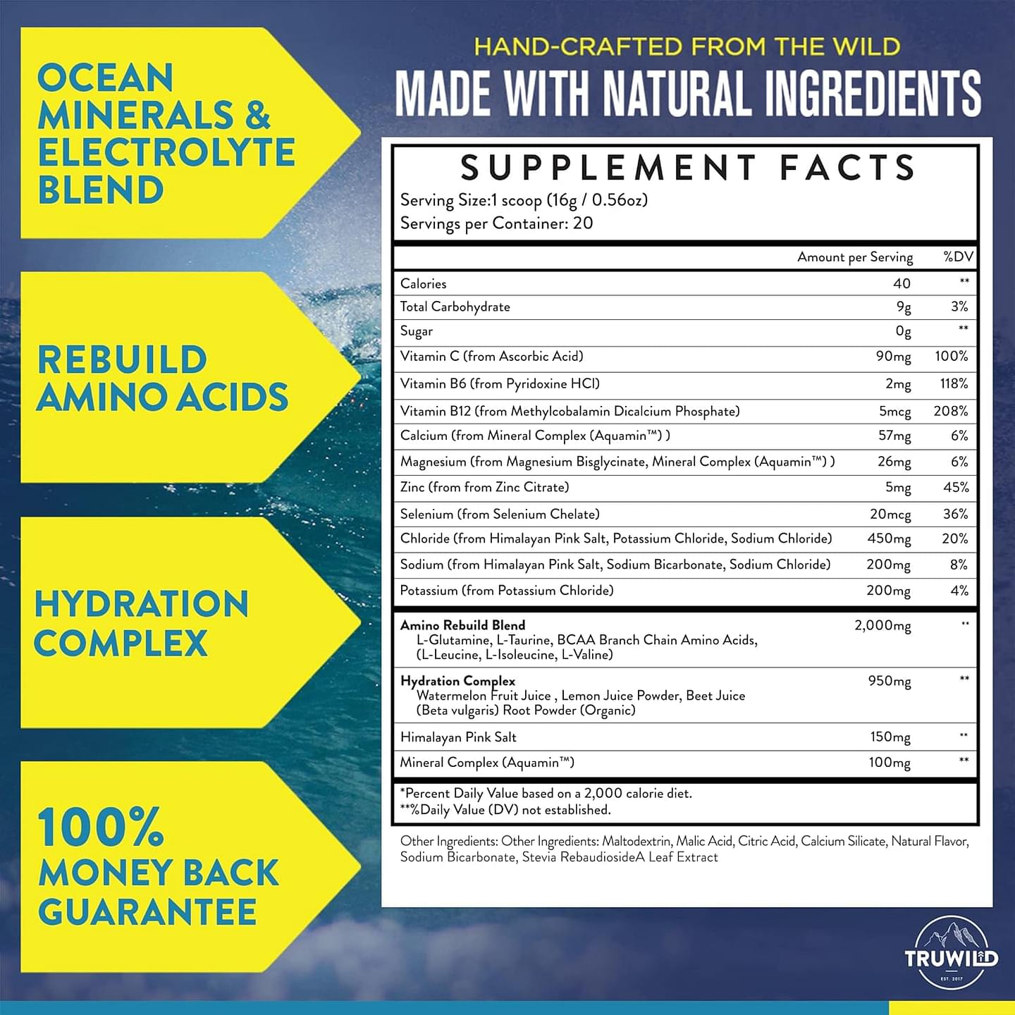 Natural Hydration Powder with Zero Sugar - Vegan Electrolytes + Amino Acids - Recovery Drink for Everyday Use – Post Workout Muscle Support Supplement w/Magnesium (Watermelon Lemonade) Watermelon Lemonade 20 Servings (Pack of 1)