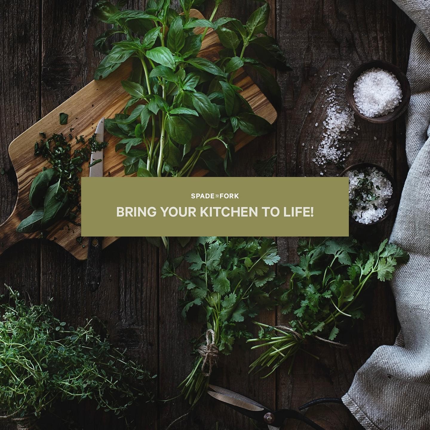 Organic Culinary Herb Seed Kit