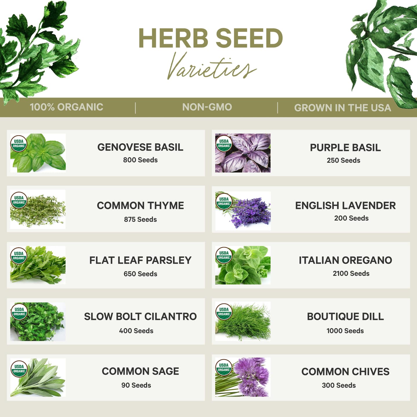 Organic Seed Collection - 10 Herb