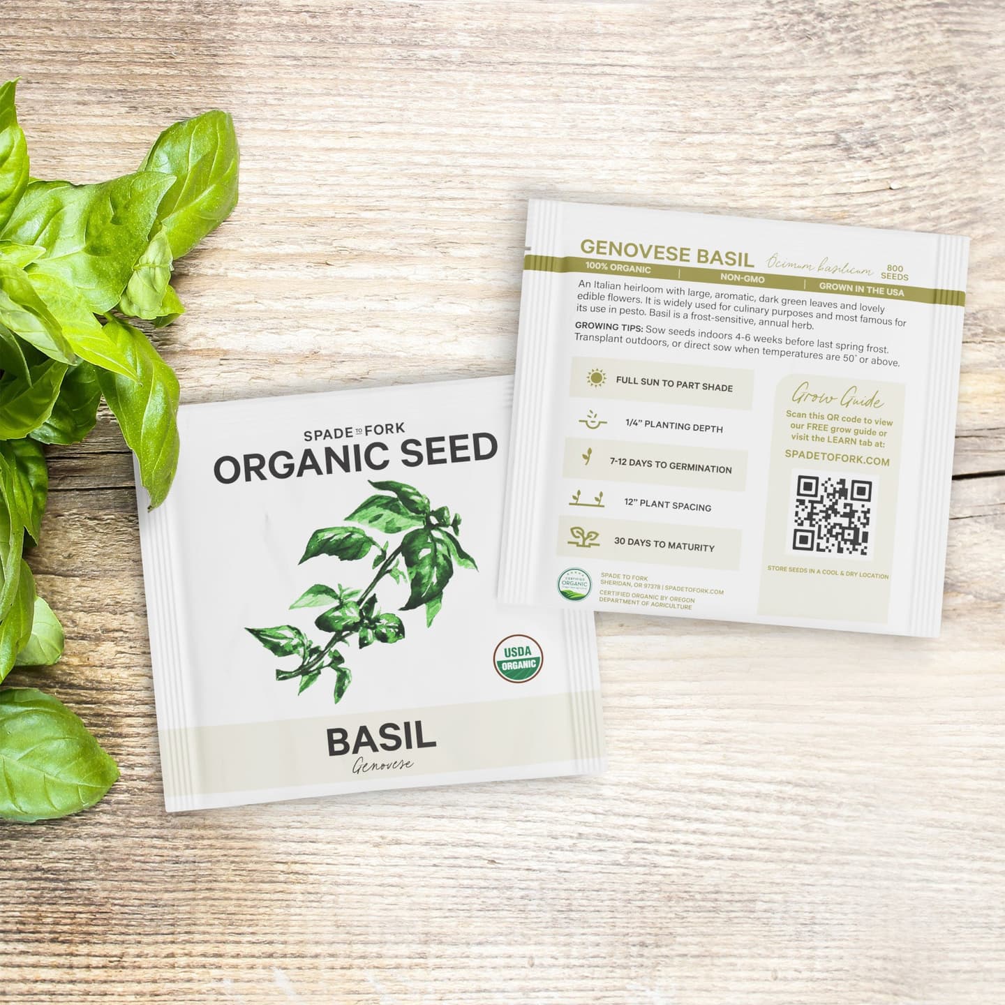 Organic Seed Collection - 10 Herb