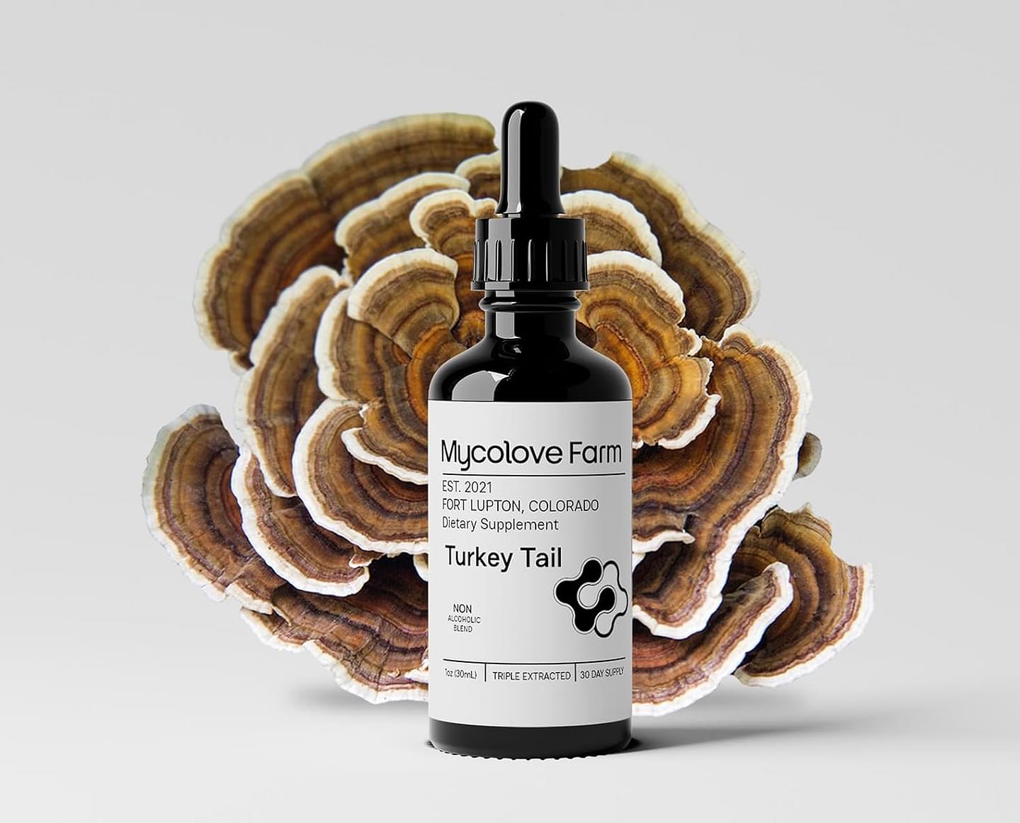 Organic Turkey Tail & Echinacea Tinctures Body, and System Support