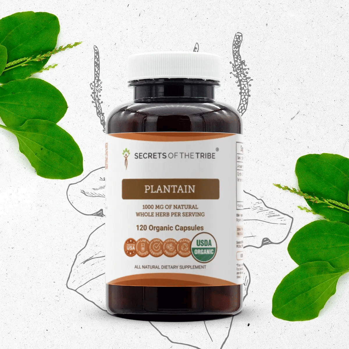 product-image-2