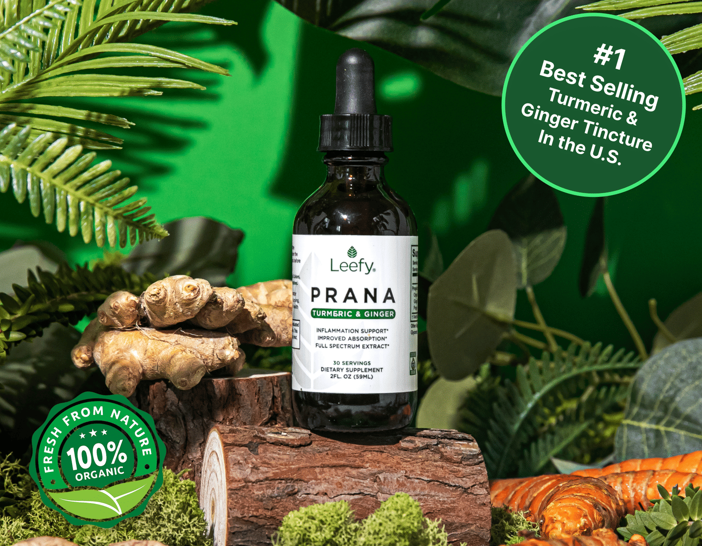 PRANA - Organic Turmeric & Ginger Liquid Tincture - One Bottle
