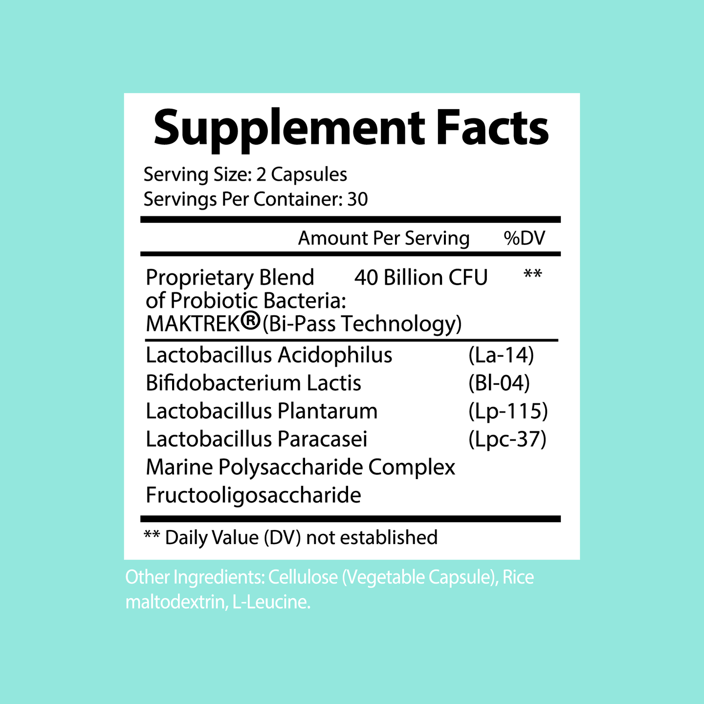 Premium Probiotic