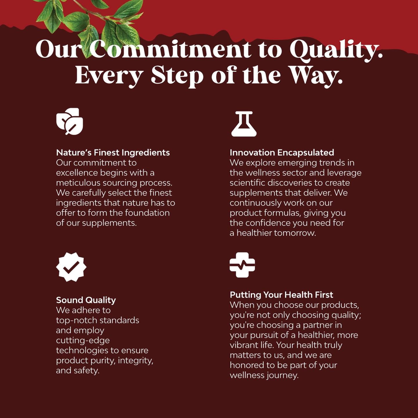 Pro-Circulate Vein Support Complex