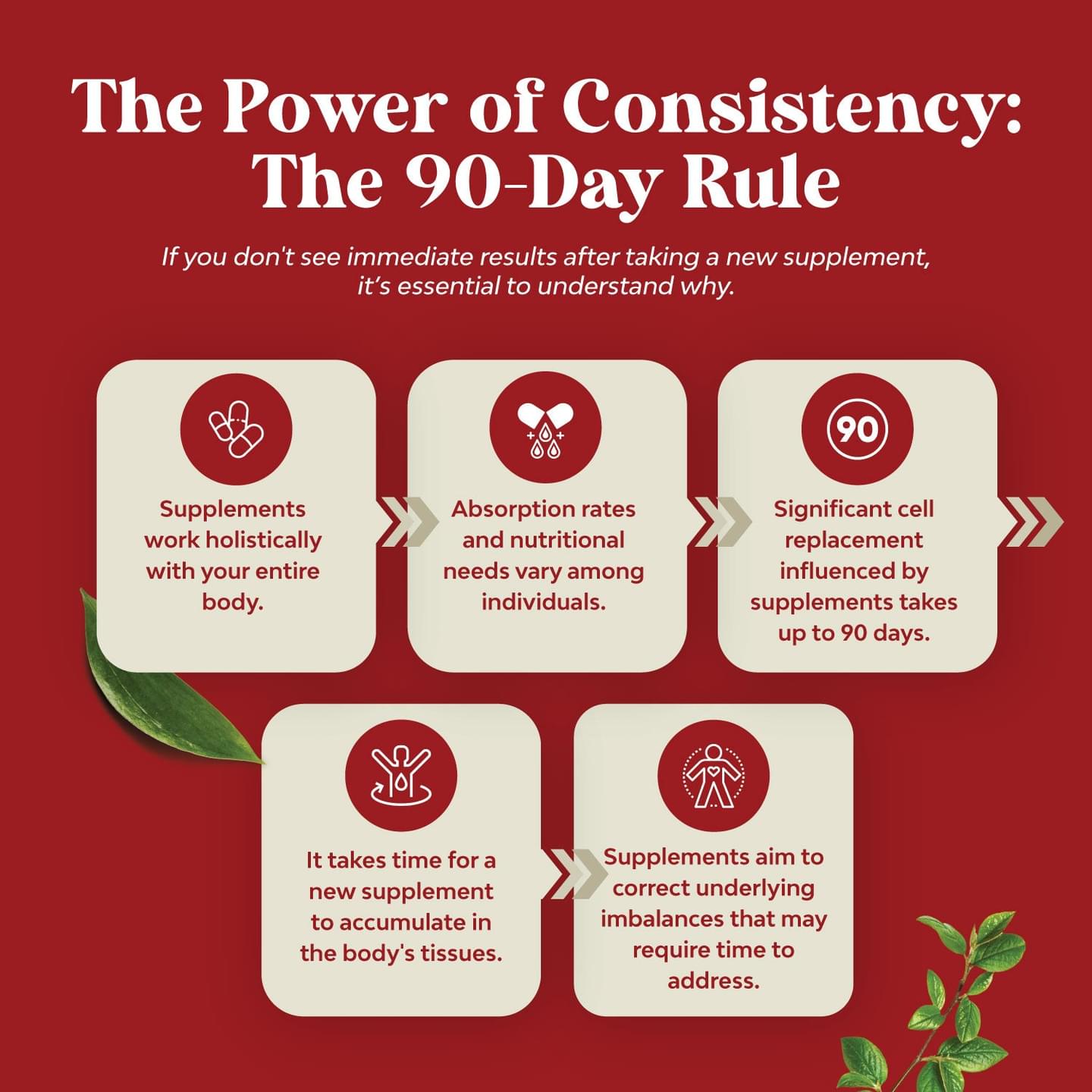 Pro-Circulate Vein Support Complex