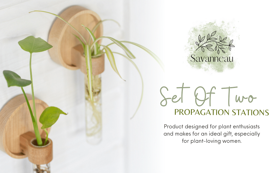 Propagation Wall Hanging Plant Wall Decor Set Of 2 Wall Vases For Flowers Maple Wood And Glass Wall Planters For Indoor Plants