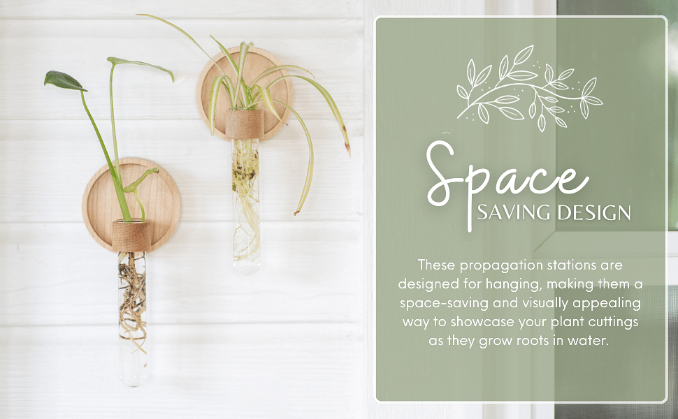 Propagation Wall Hanging Plant Wall Decor Set Of 2 Wall Vases For Flowers Maple Wood And Glass Wall Planters For Indoor Plants