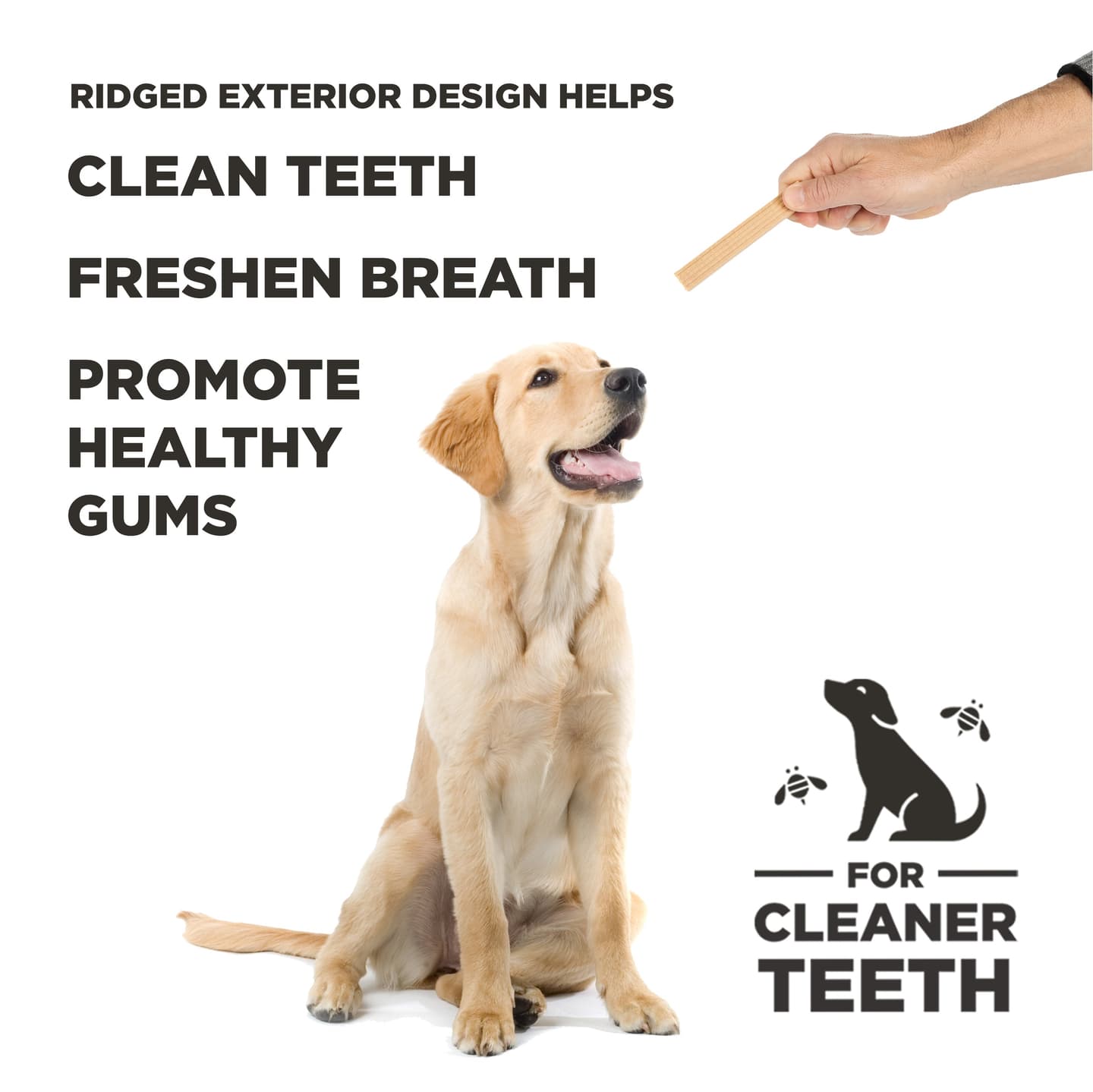 Big & Little Pup Bundle: 1 Large Hive Chew Toy, 1 Small Hive Chew Toy, Pumpkin Chew Sticks, plus FREE Small Hive Chew Sticks