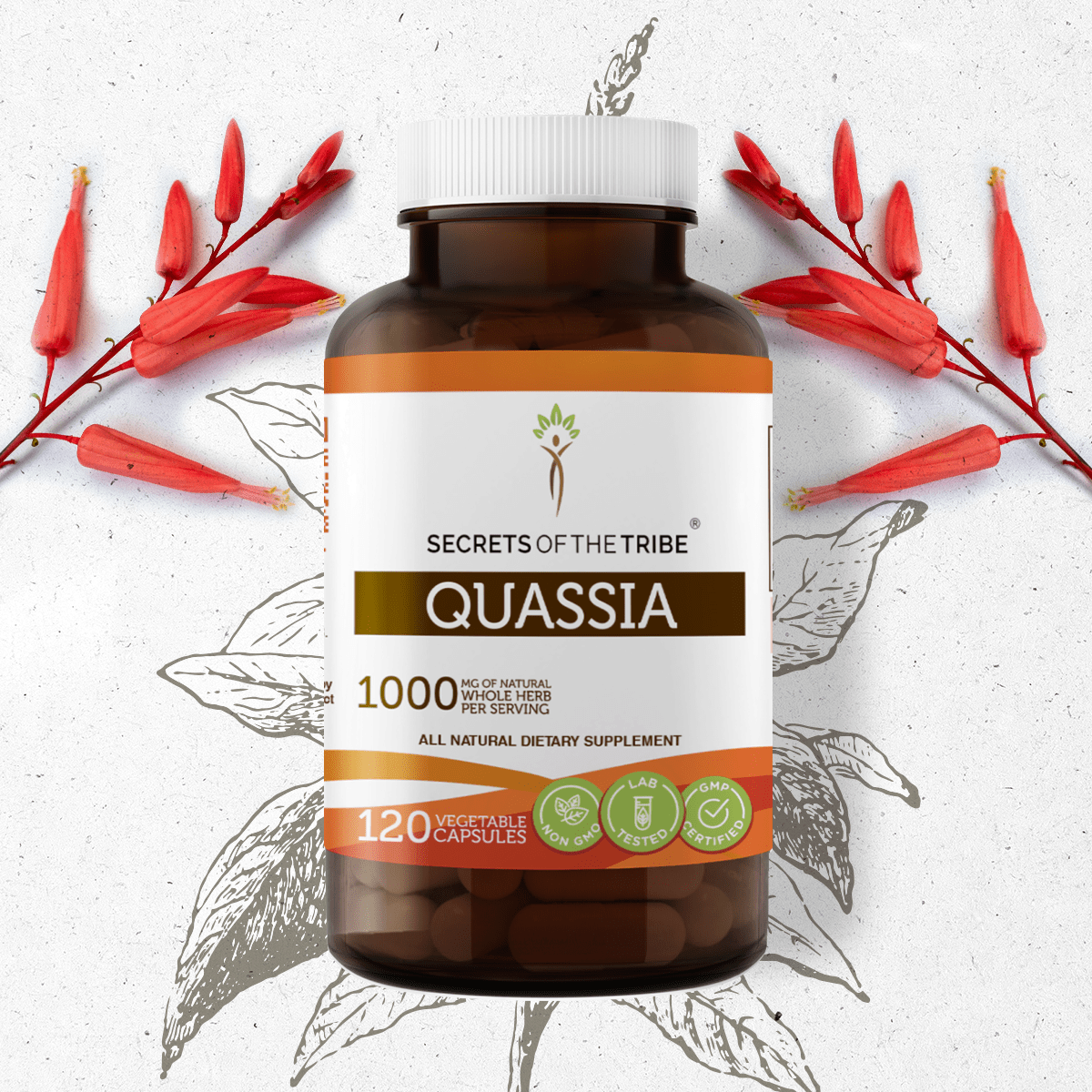 Quassia Capsules image