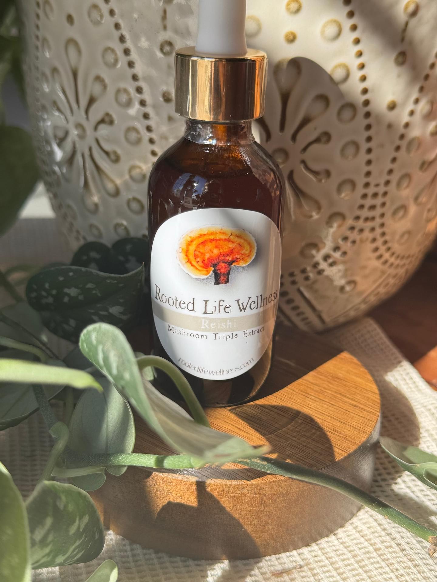Reishi Mushroom Triple Extract Tincture