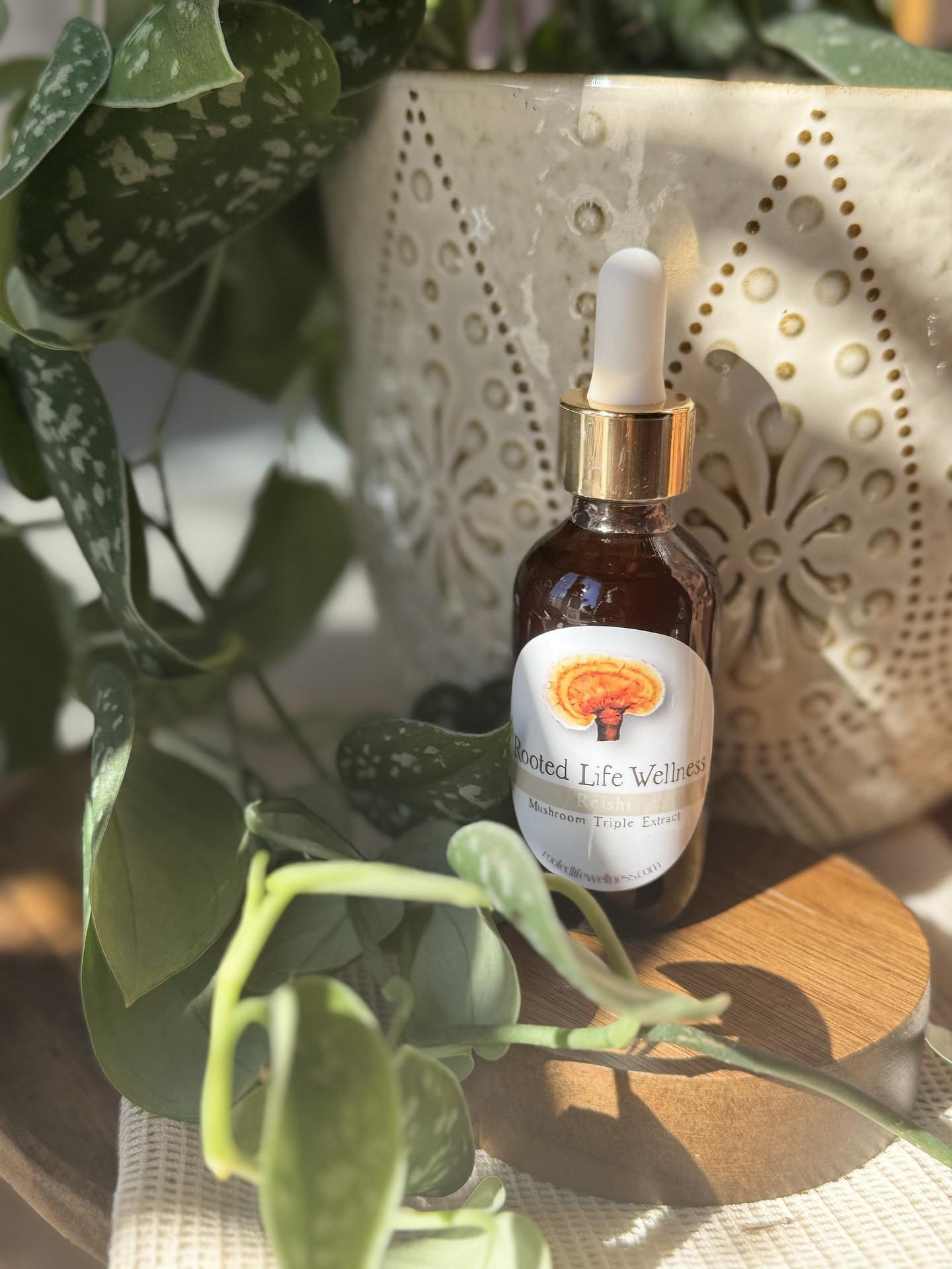 Reishi Mushroom Triple Extract Tincture