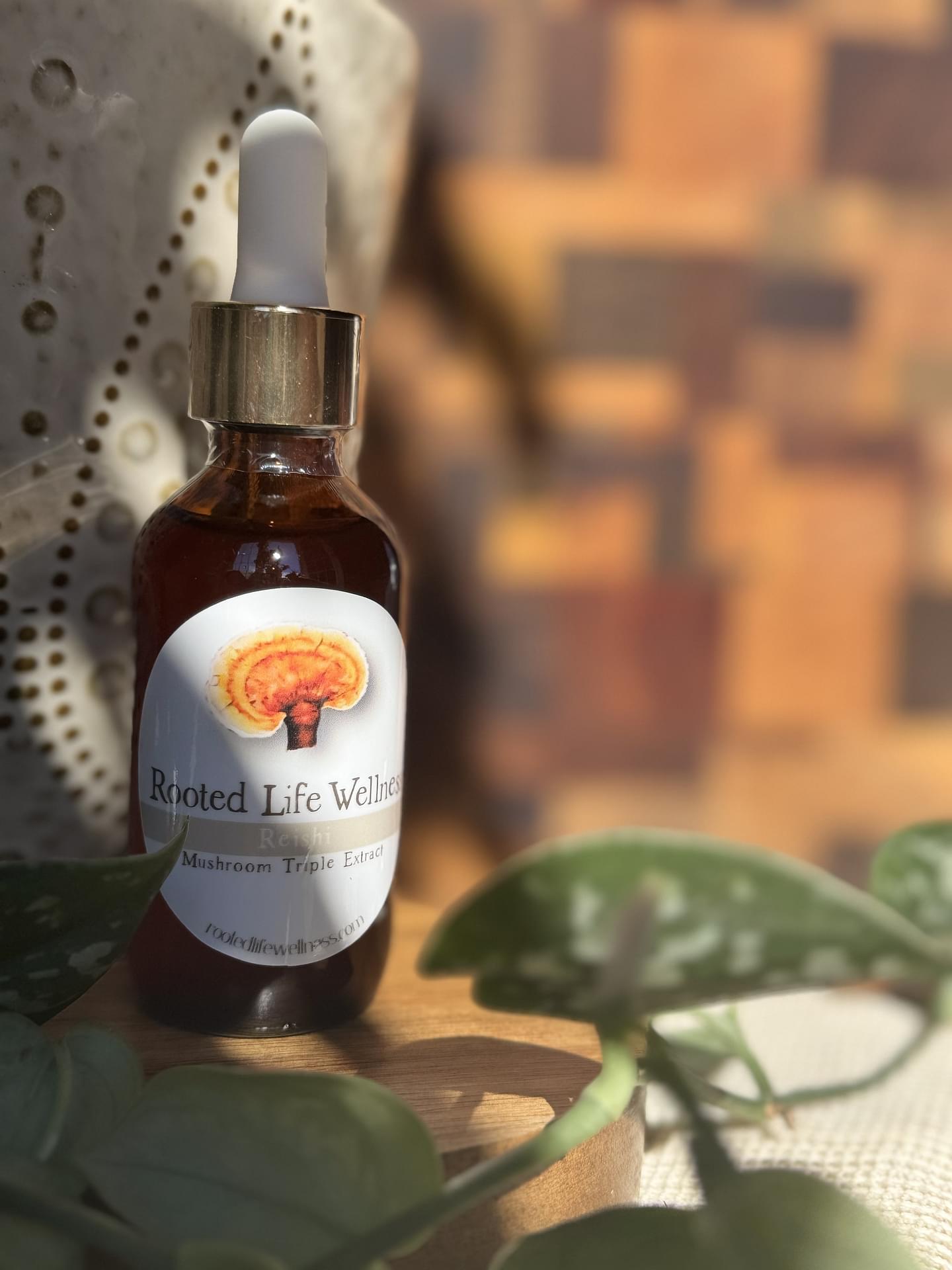Reishi Mushroom Triple Extract Tincture