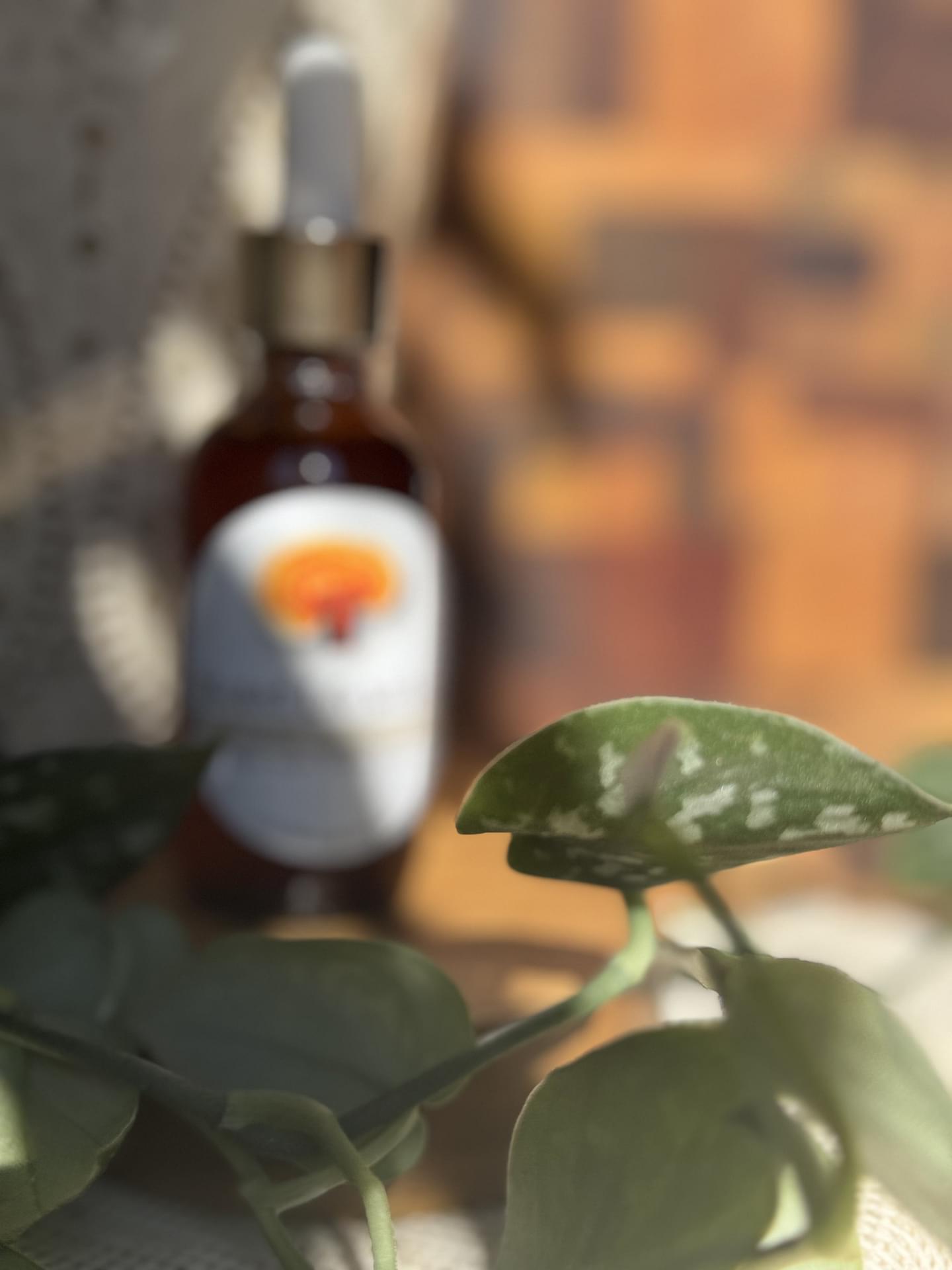 Reishi Mushroom Triple Extract Tincture