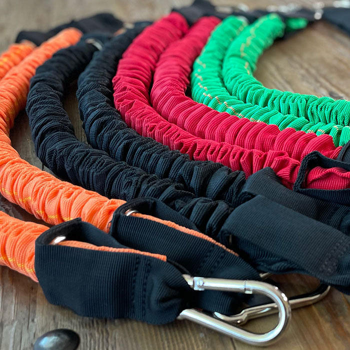 Resistance System Bands 2.0