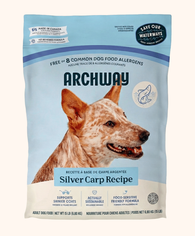 Curated visual reference: Fresh Look at Silver Carp Dog Food Hypoallergenic Dry Dog Food With Sustainable