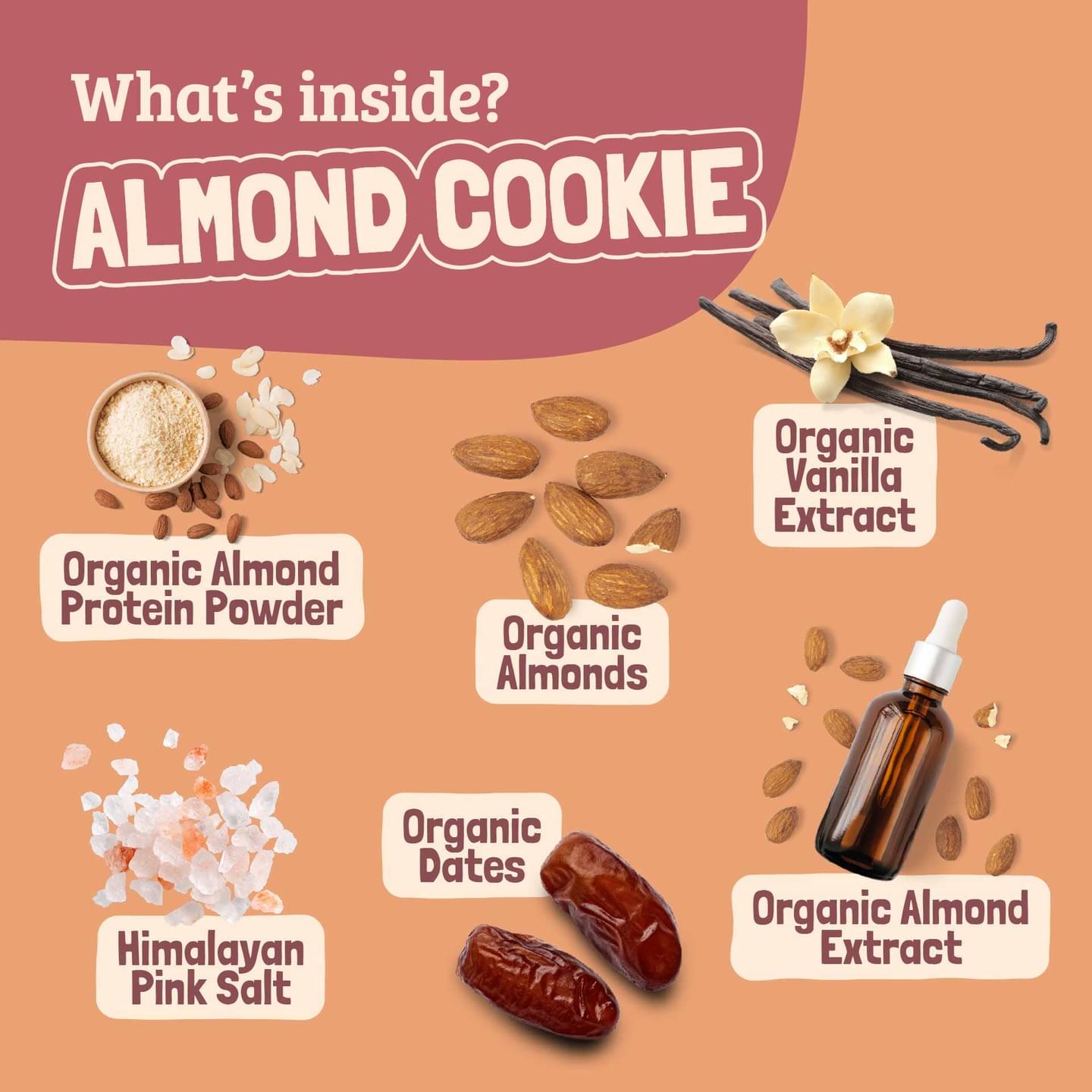 Skout Organic Almond Cookie Kids Bar