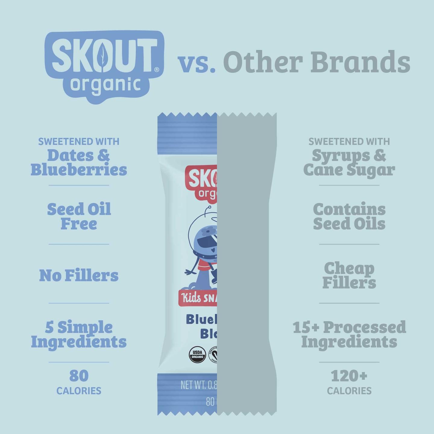 Skout Organic Blueberry Blast Kids Bar